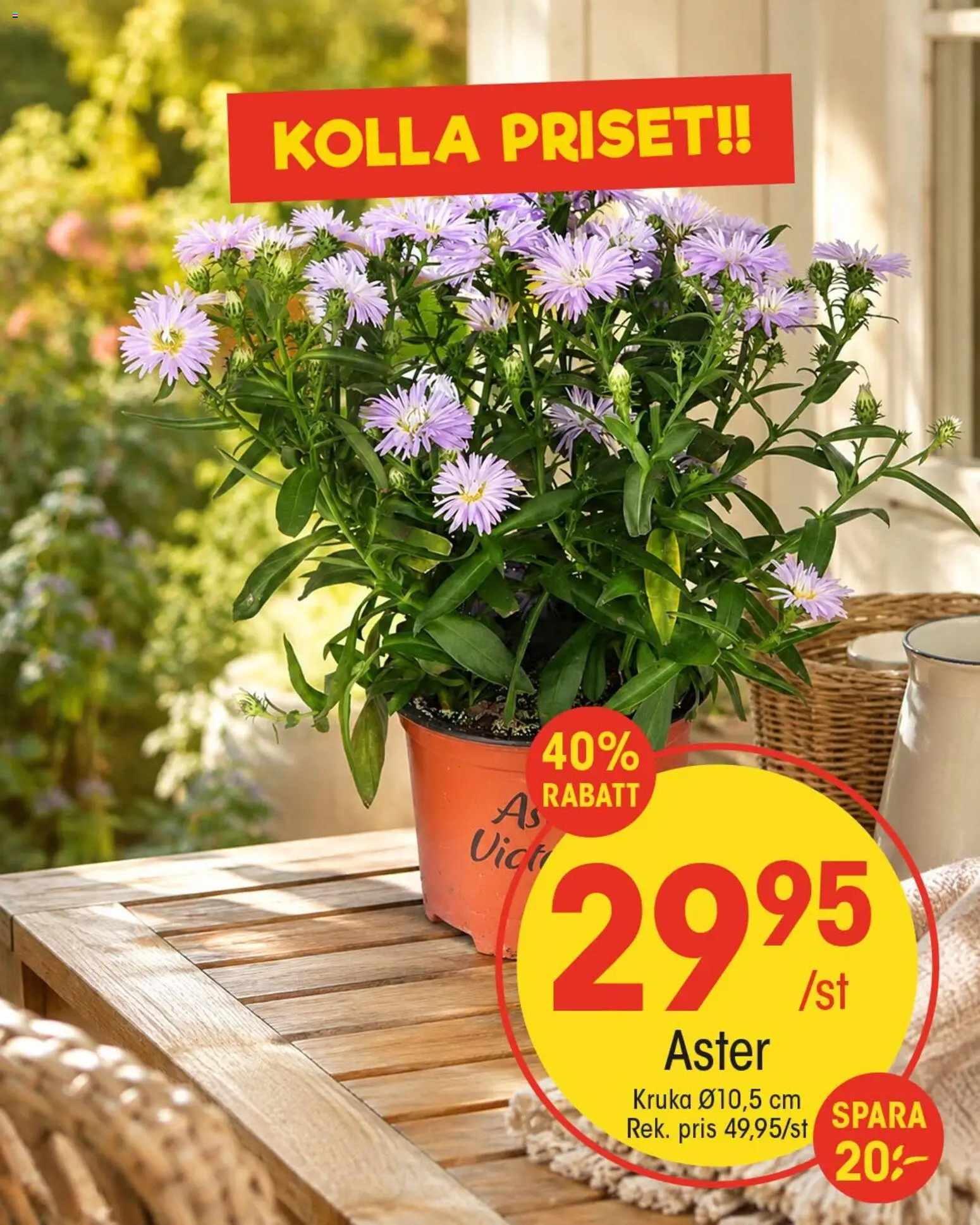 EKO reklamblad aktuell från 26/08/2026 | Sida: 8