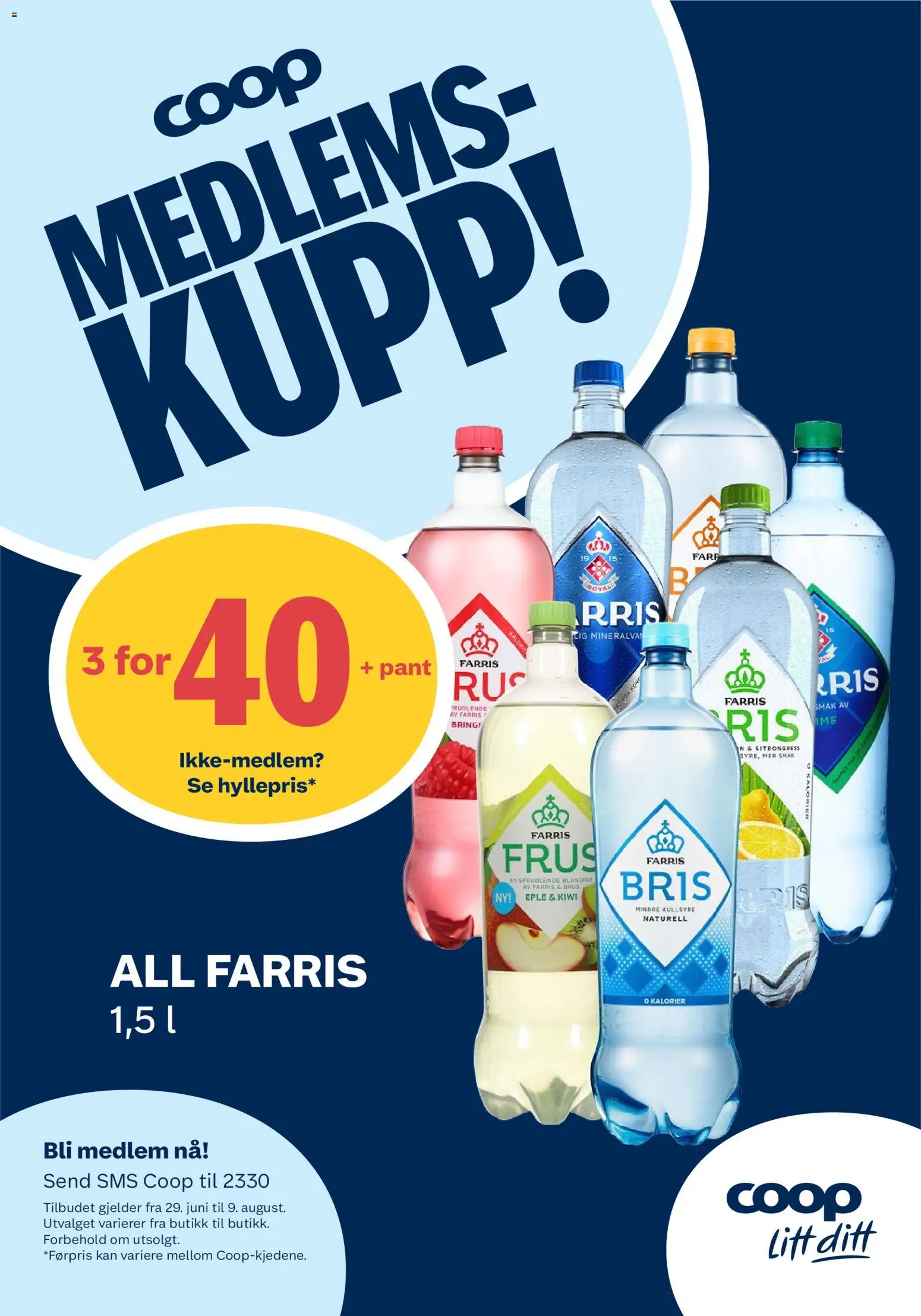 {H1} | Side: 11 | Produkter: Ferăstrău, Kiwi, Brus