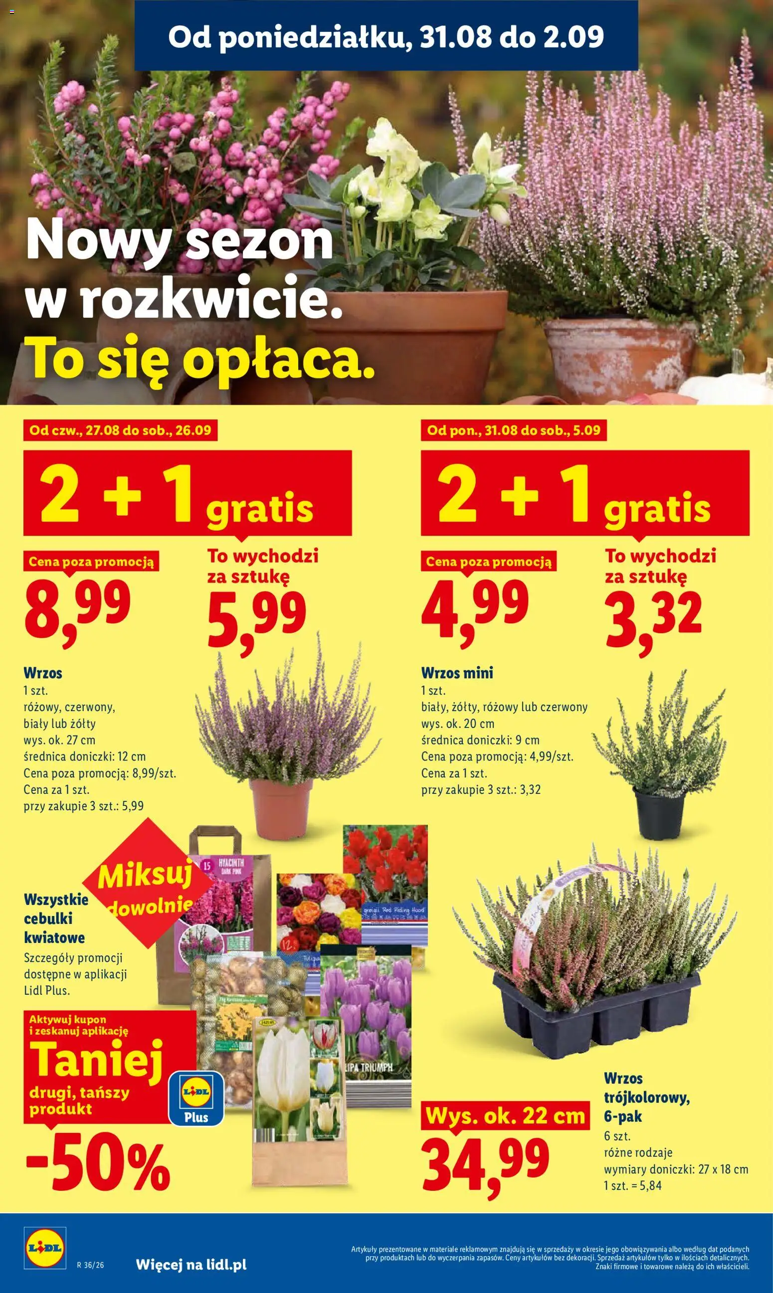 Lidl Polsko leták od 31.08.2026 | Strana: 86
