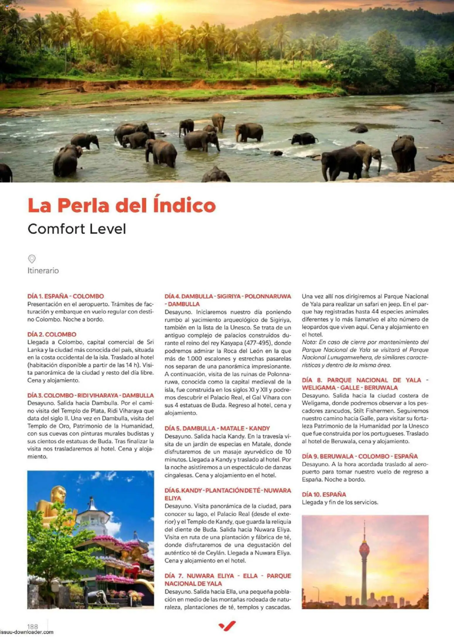 Halcón Viajes Comfort level 2026 │ válido desde el 04.06.2026 | Página: 188 | Productos: Té
