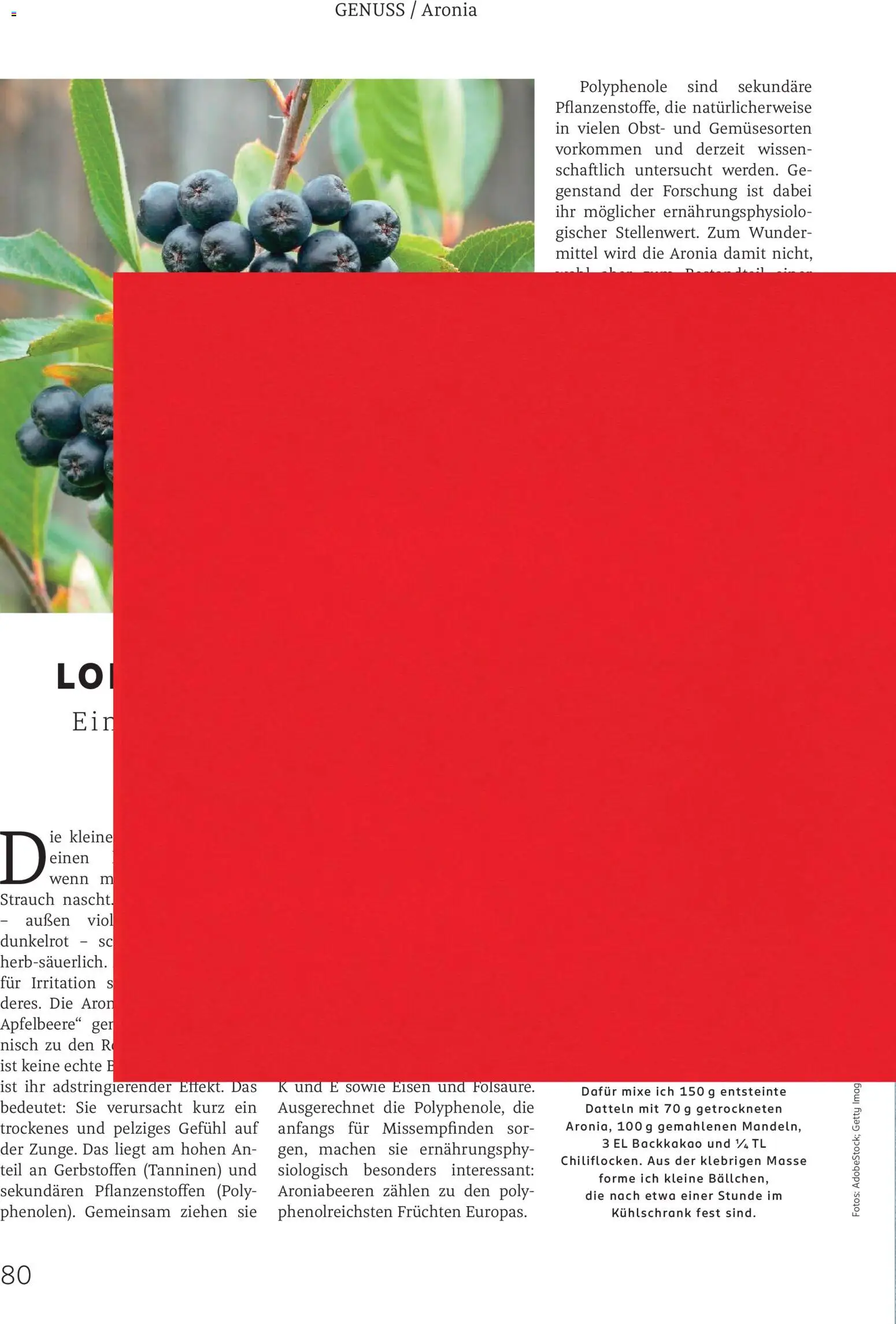 Rossmann Centaur – gültig ab 01.08.2026 | Seite: 80 | Produkte: Kühlschrank, Obst