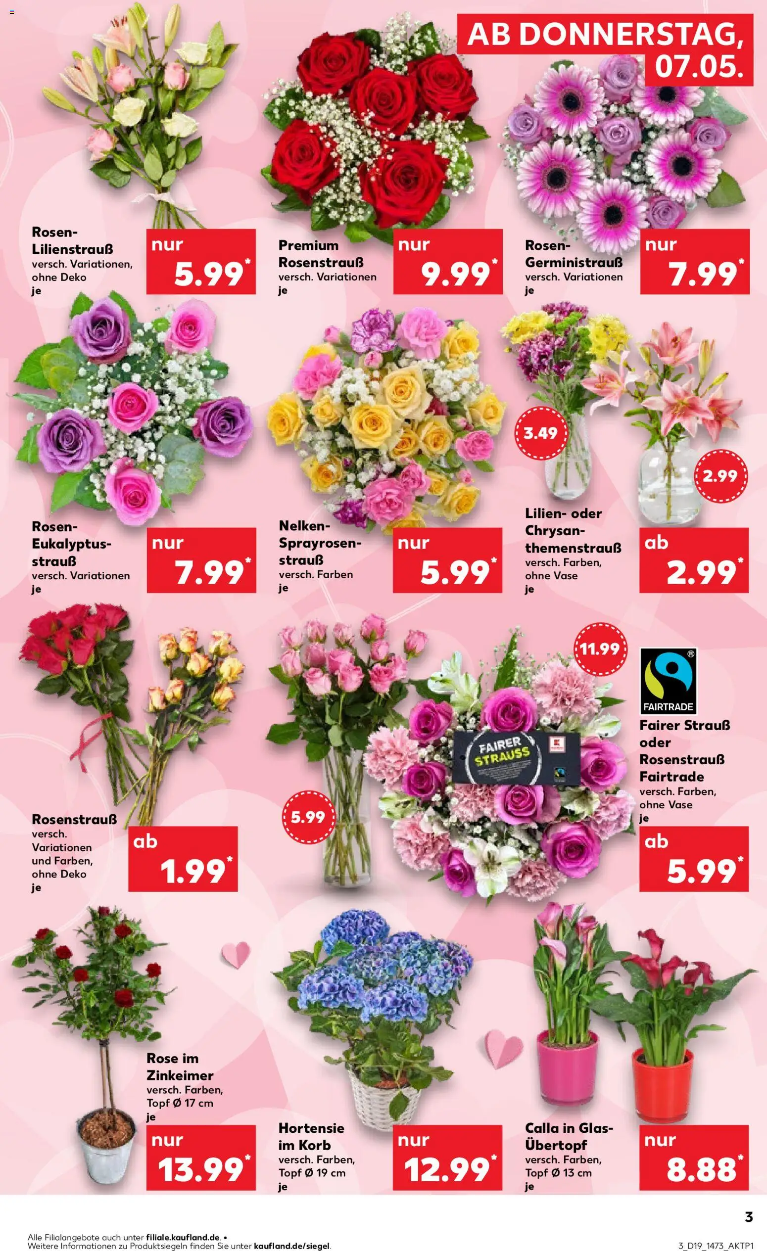 Kaufland Prospekt – gültig ab 07.05.2026 | Seite: 3 | Produkte: Hortensie, Korb, Vase