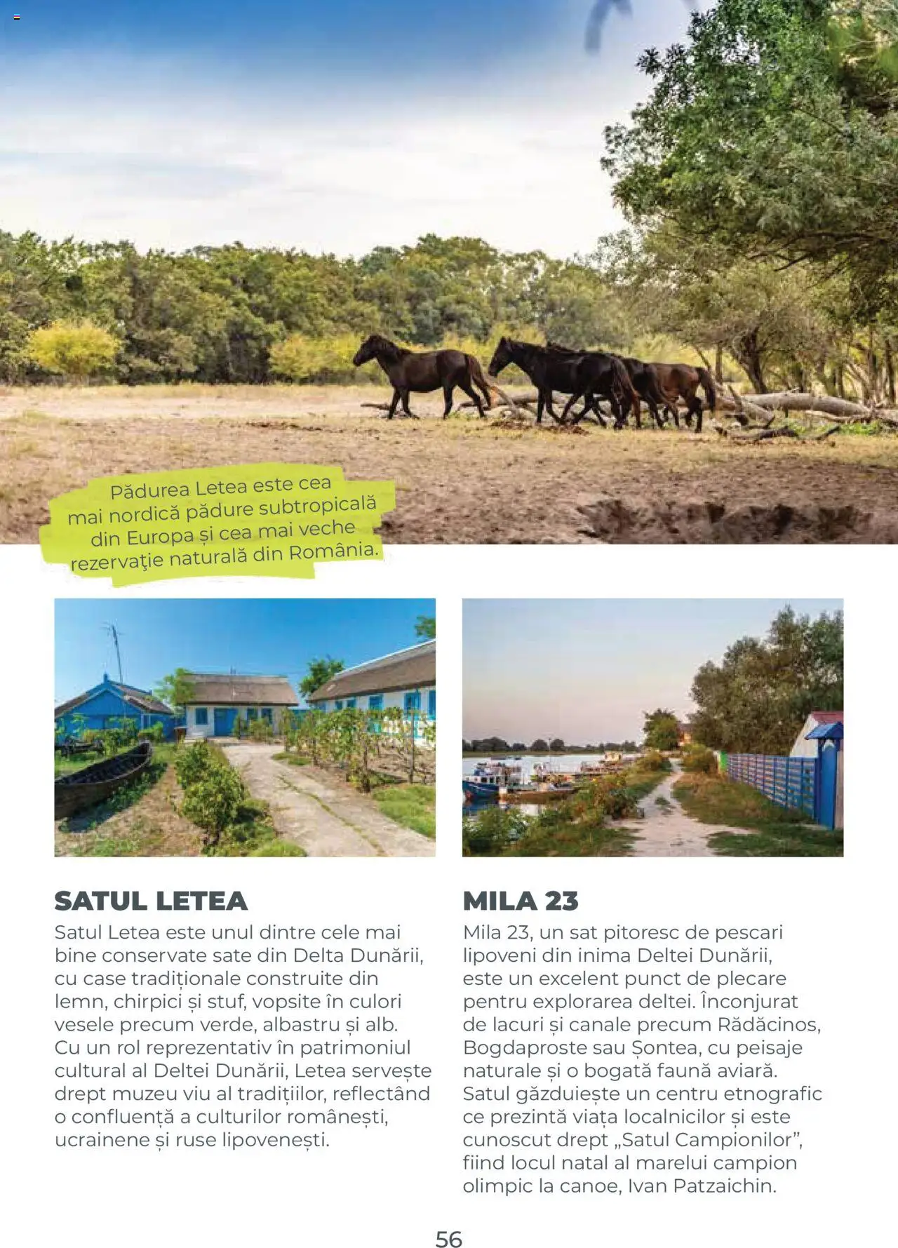 Noul catalog Metro – valabil de la 01.08.2025 | Pagină: 56