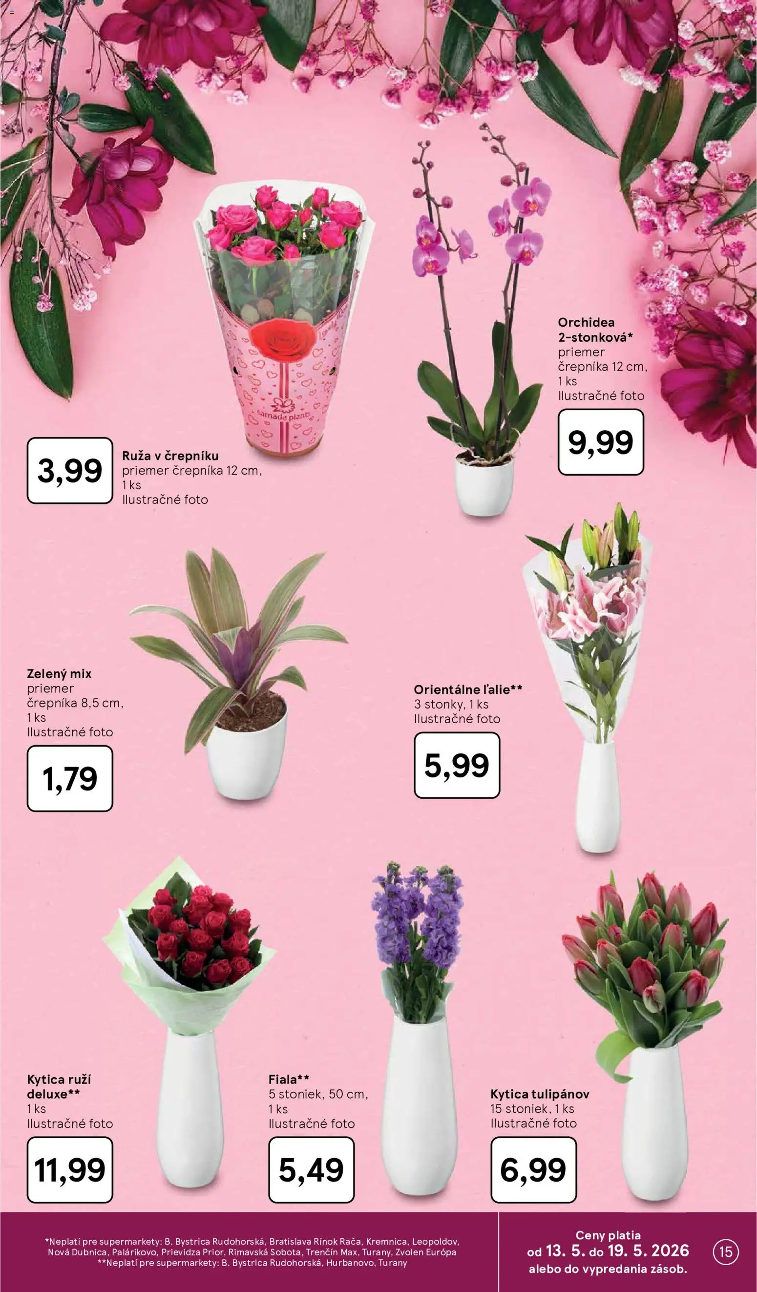 Nové Tesco akcie – leták je platný od 13.05.2026 | Strana: 15 | Produkty: Orchidea
