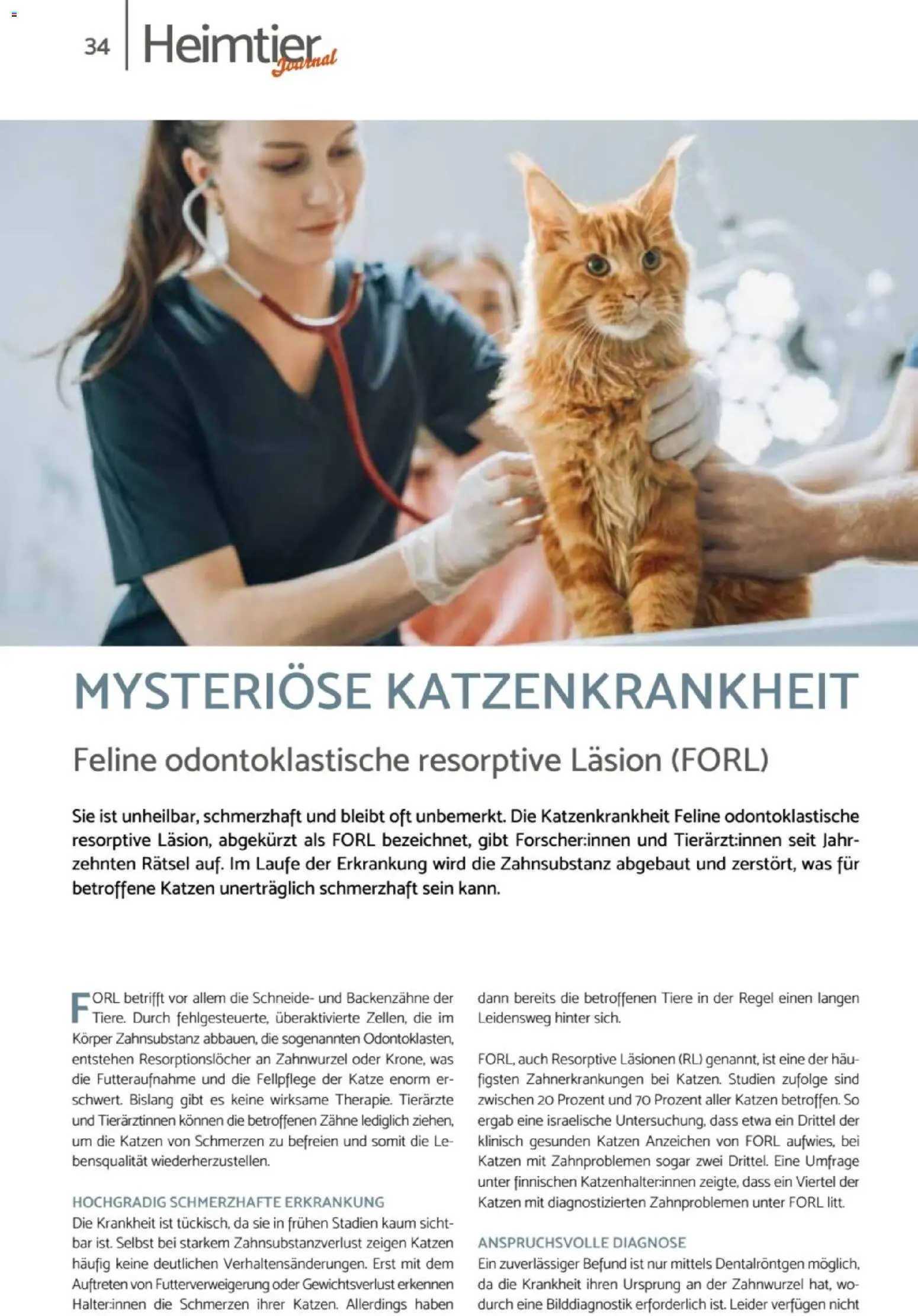 zookauf Heimtier Journal – gültig ab 01.06.2026 | Seite: 34