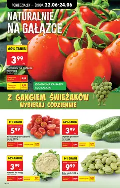 Pogląd oferty "Ogórek gruntowy na wagę, Ogórek gruntowy na wagę" - ważna od 22.06.2026 | Strona: 32 | Produkty: Kalafior, Pomidory