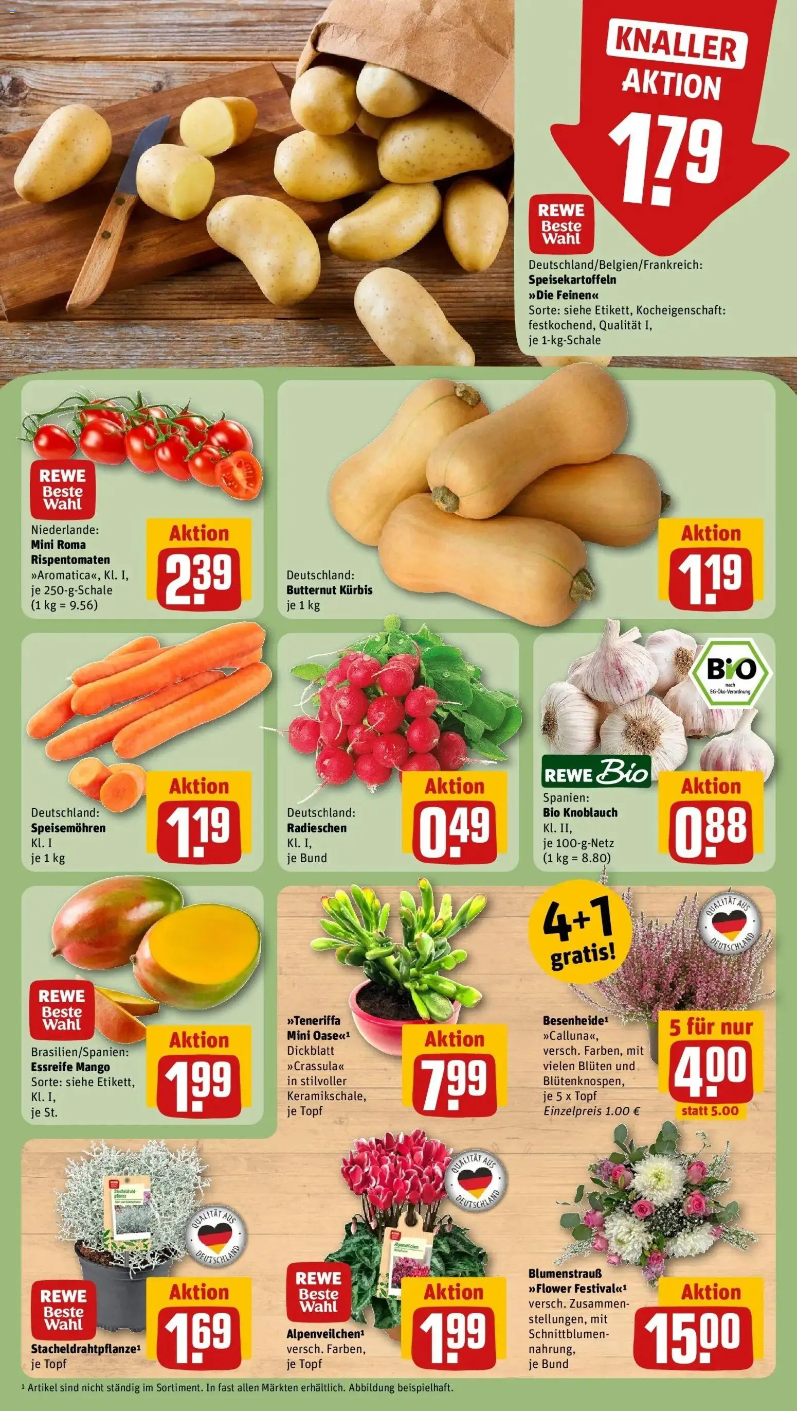 REWE Prospekt ab 05.10.2026 zum Blättern » Angebote | Seite: 9 | Produkte: Mango, Knoblauch, Kürbis