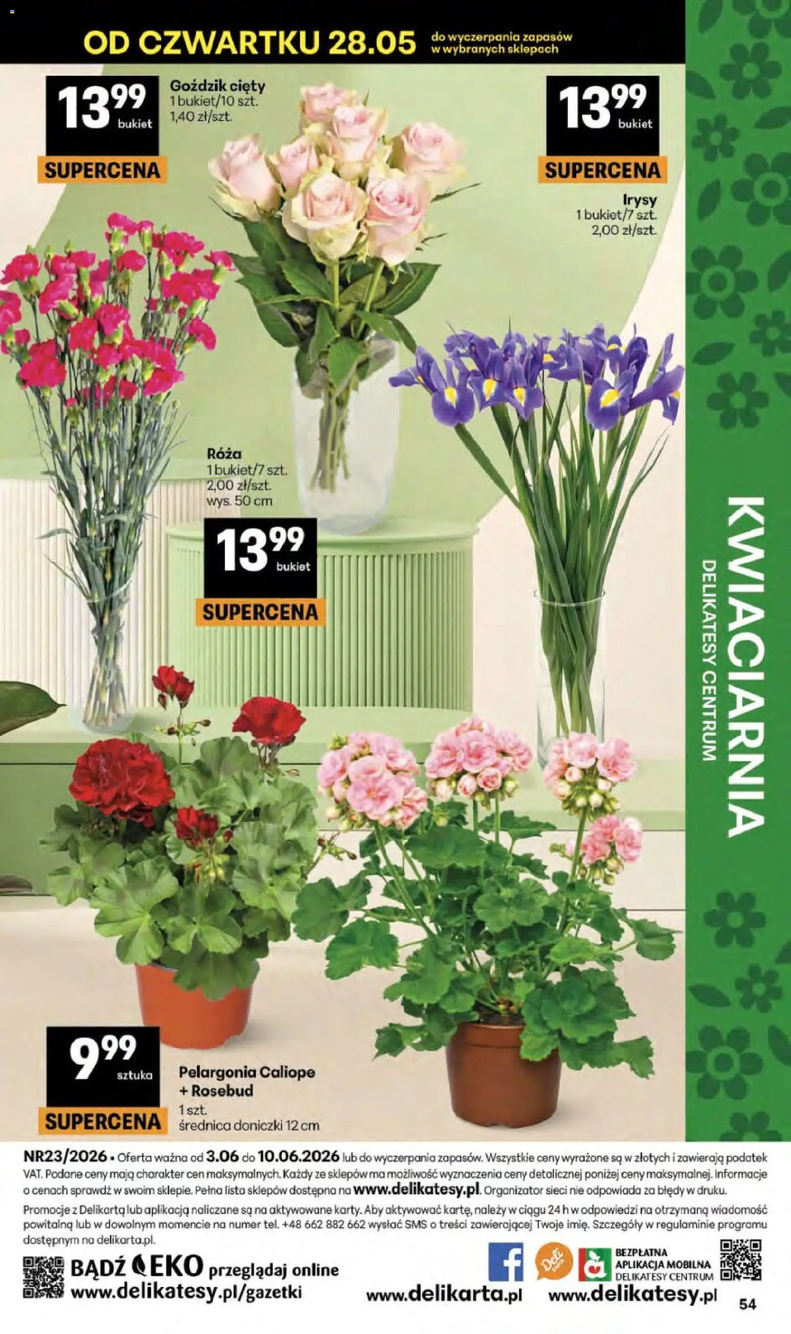 Delikatesy Centrum gazetka - Sklepy Własne od 03.06.2026 | Strona: 54 | Produkty: Goździk, Delikatesy, Doniczki