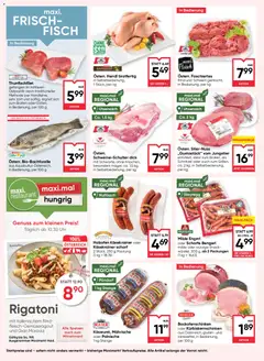 Maximarkt Flugblatt ab 17.09.2026 gültig | Seite: 8 | Produkte: Fisch
