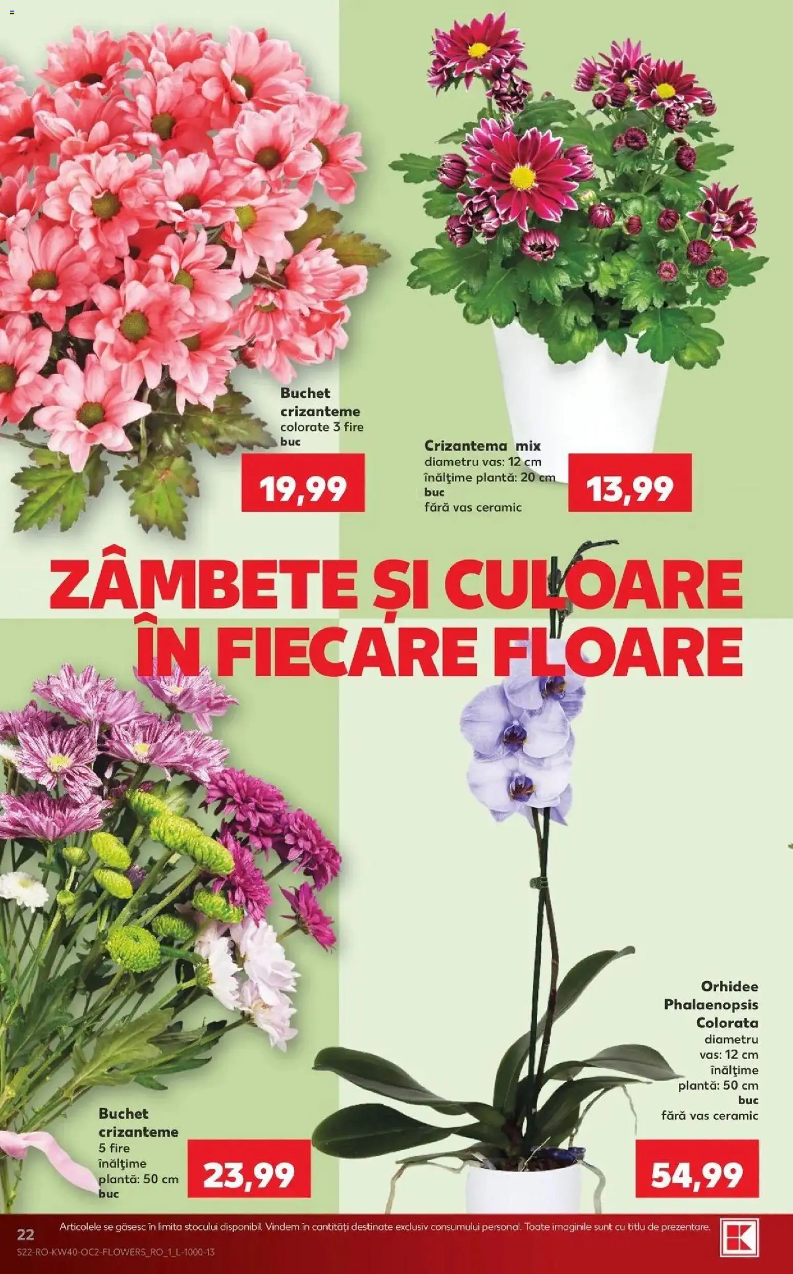 Kaufland Galați 30.09.2026 - Revista si Oferta | Pagină: 22 | Produse: Orhidee