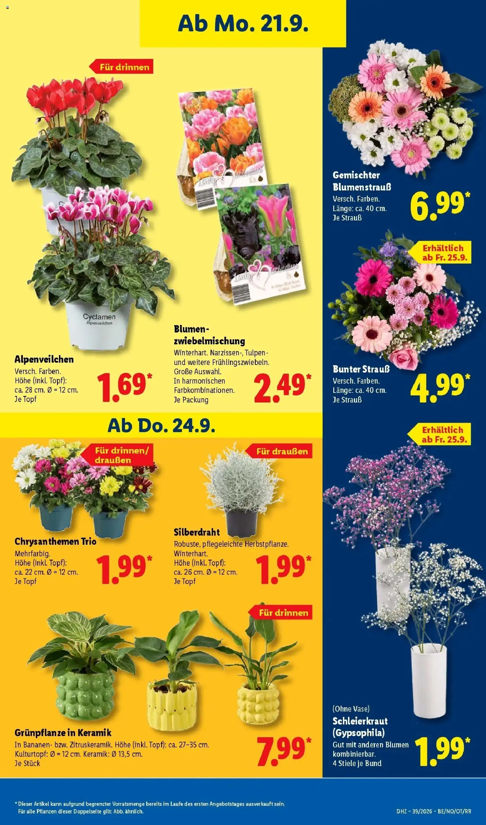Lidl Prospekt Emlichheim (ab 21.09.2026) zum Blättern » Angebote | Seite: 21