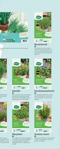 Aveve Groente- en kruidengids - Voorbeeld van een folder van Aveve, geldig van 23.02.2026 | Pagina: 47 | Producten: Bloemen, Pepermunt, Munt