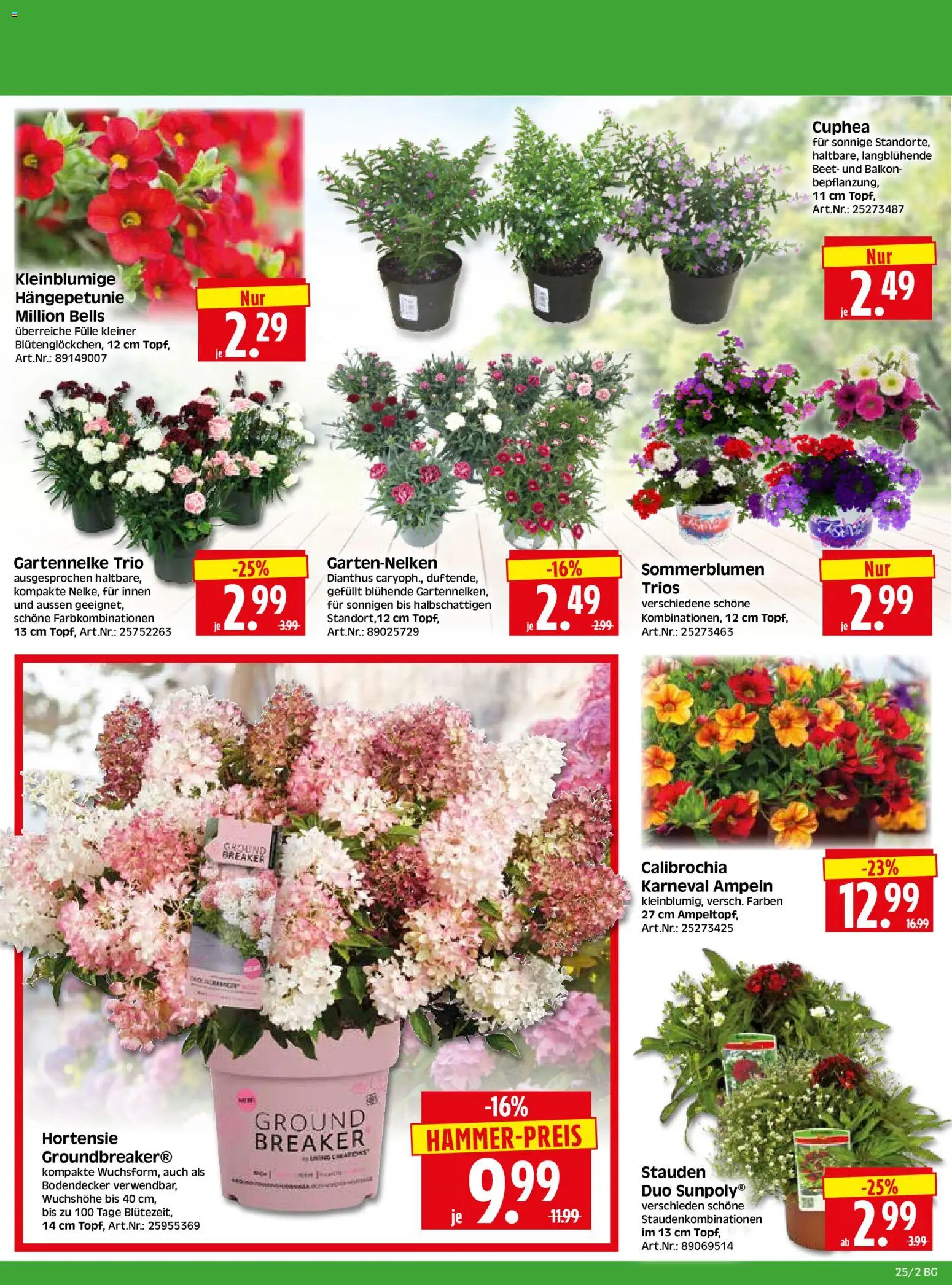 HERKULES Bau & Garten – gültig ab 15.06.2026 | Seite: 2 | Produkte: Hortensie