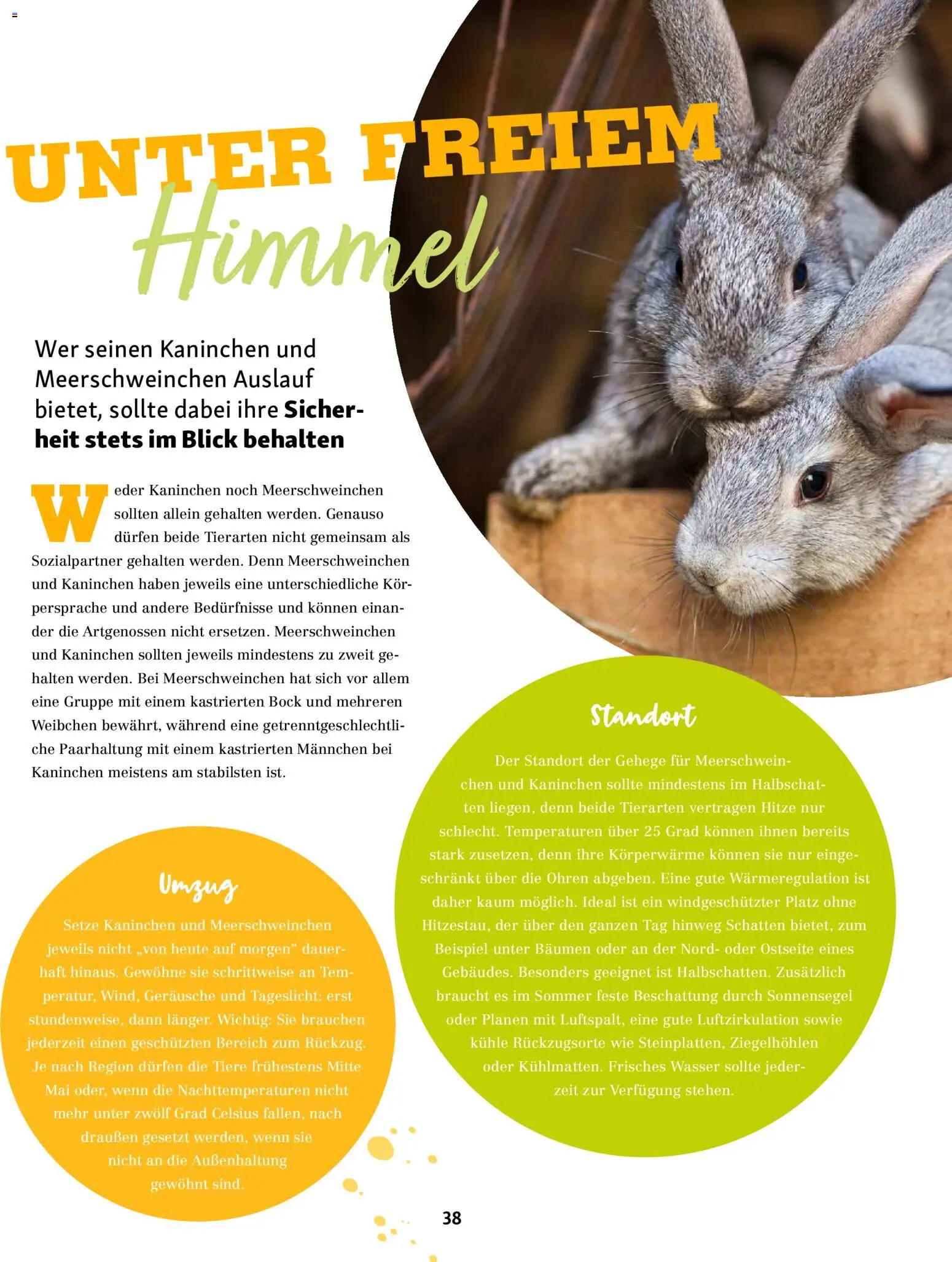 Fressnapf Friends Magazin – gültig ab 01.05.2026 | Seite: 38 | Produkte: Kaninchen, Wasser