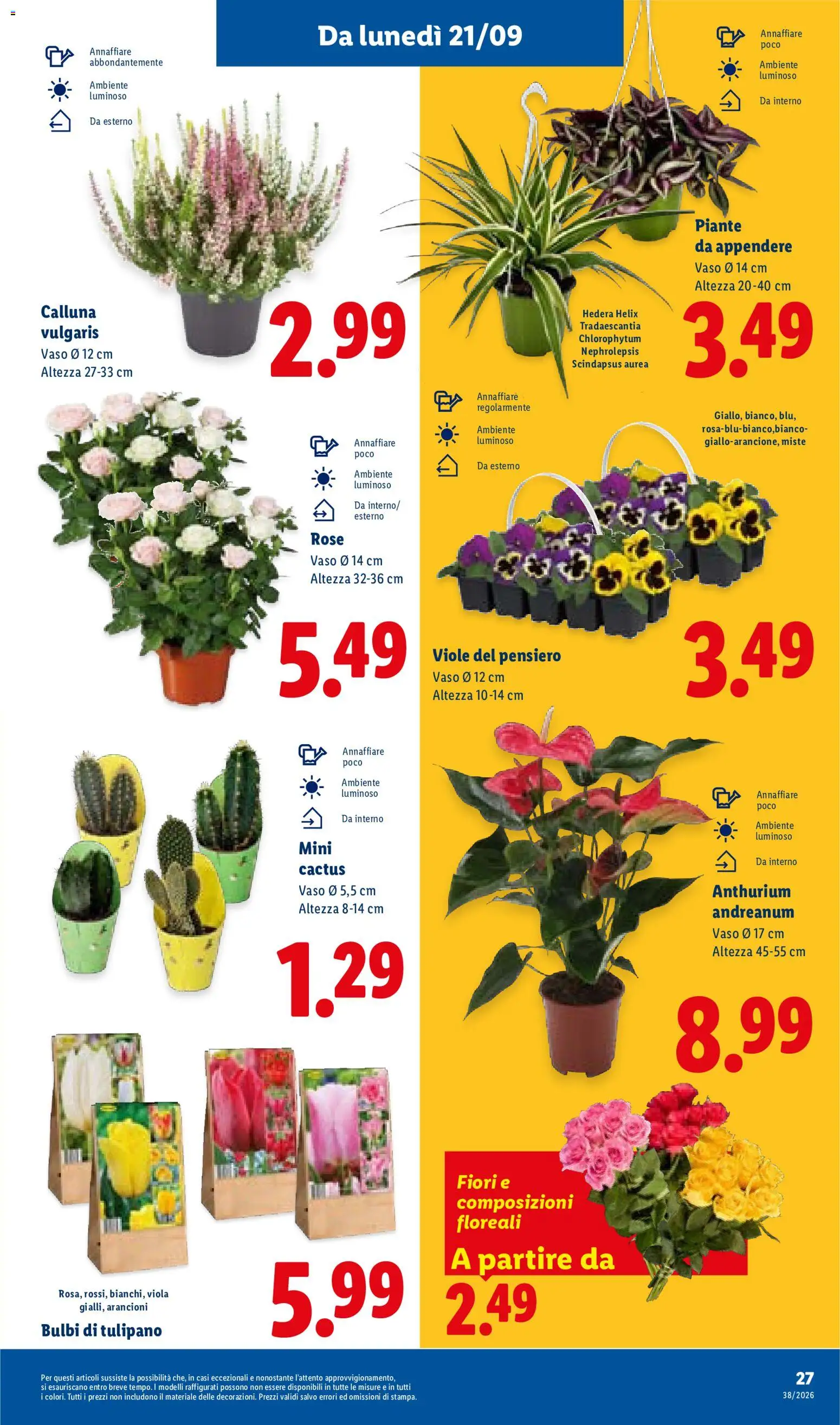 Volantino Lidl del 17/09/2026 | Pagina: 33