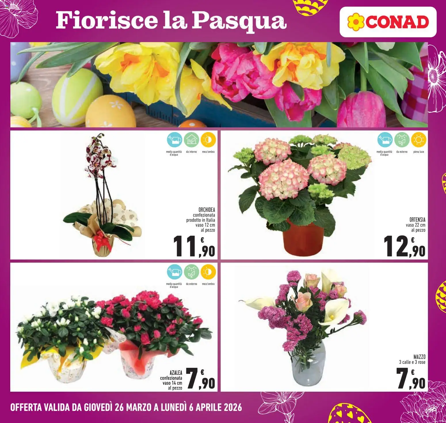 Volantino Conad del 26.03.2026 | Pagina: 25 | Prodotti: Orchidea, Vaso
