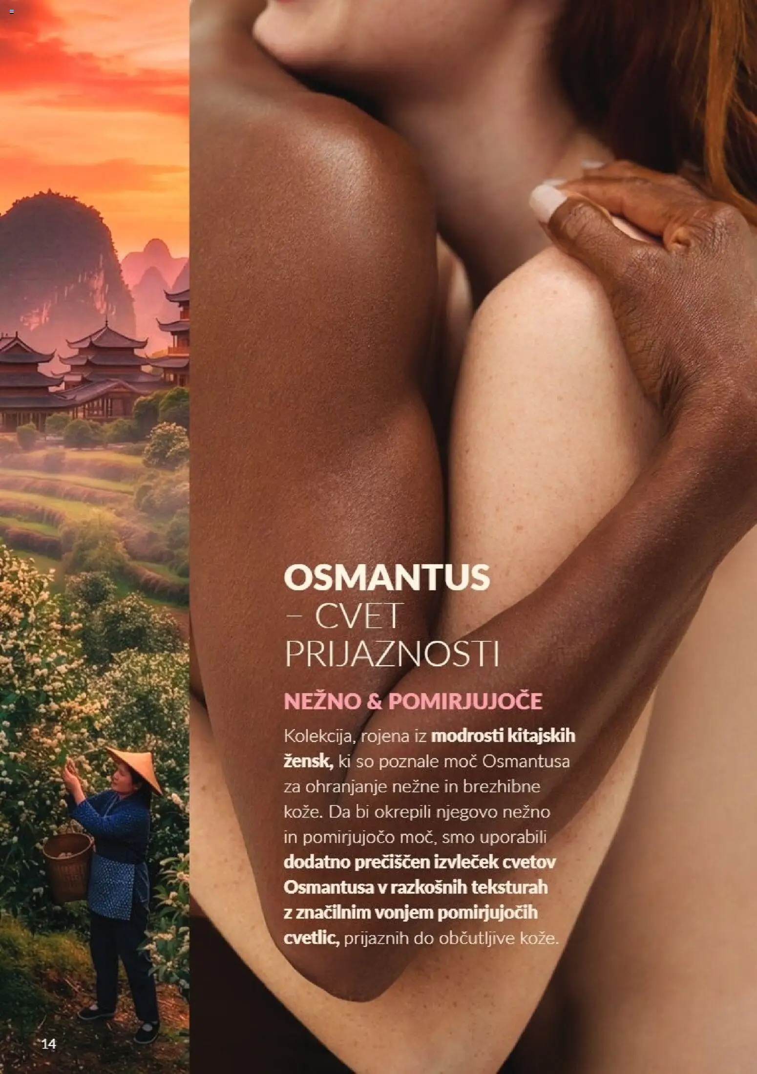 Novi Avon katalog ponudbe – veljaven od 01.10.2026 | Stran: 14