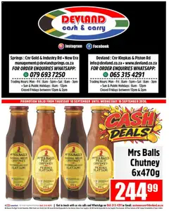 Devland specials catalogue – valid from 10/09/2026 | Page: 7 | Products: Chutney, Peach