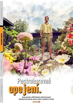 Náhled letáku HORNBACH leták - Zahrada od 01.01.2026 | Strana: 26 | Produkty: Zahrada, Ohňostroj, Kalendář