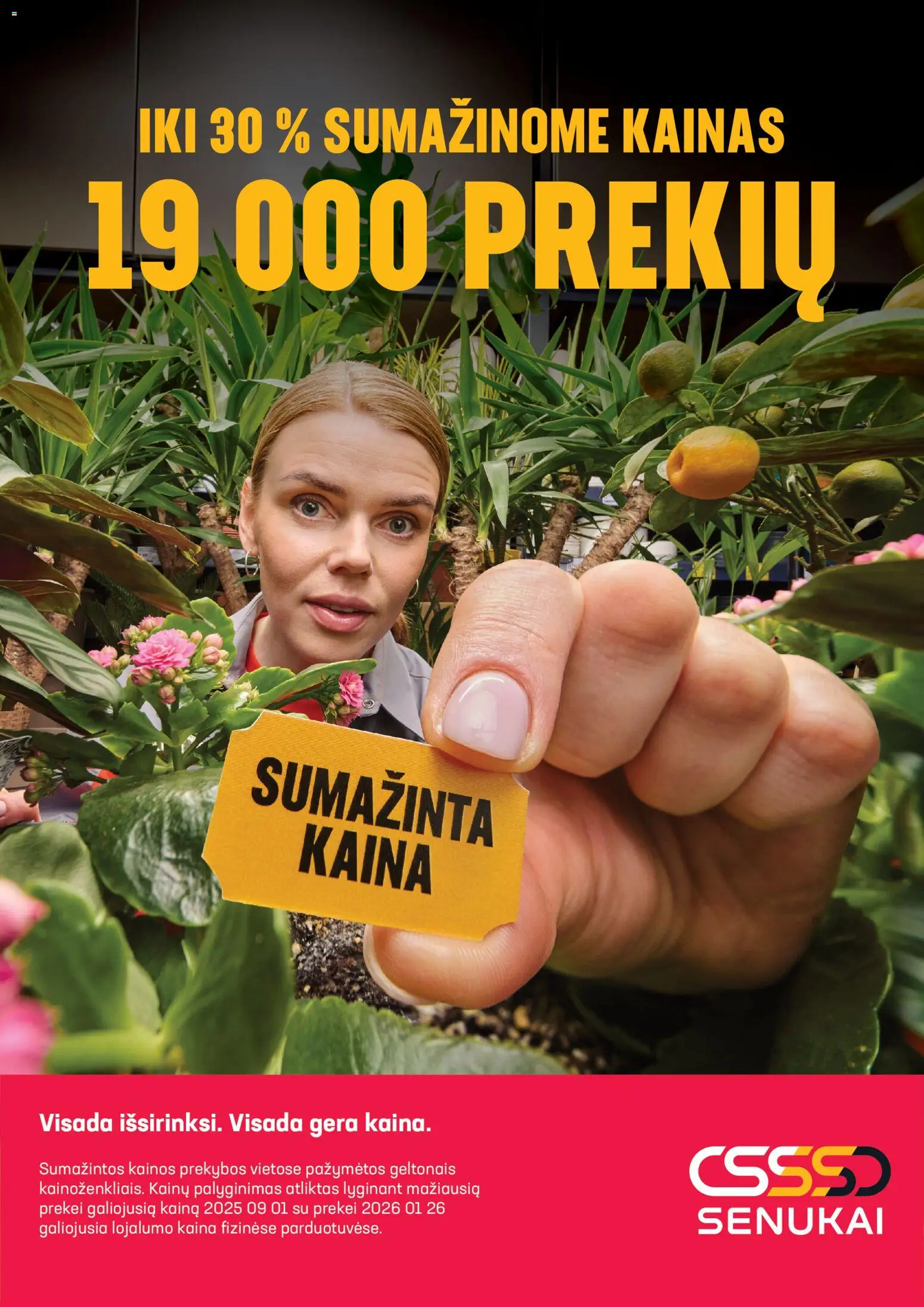 Senukai akcijos nuo 15.05.2026 | Puslapis: 11
