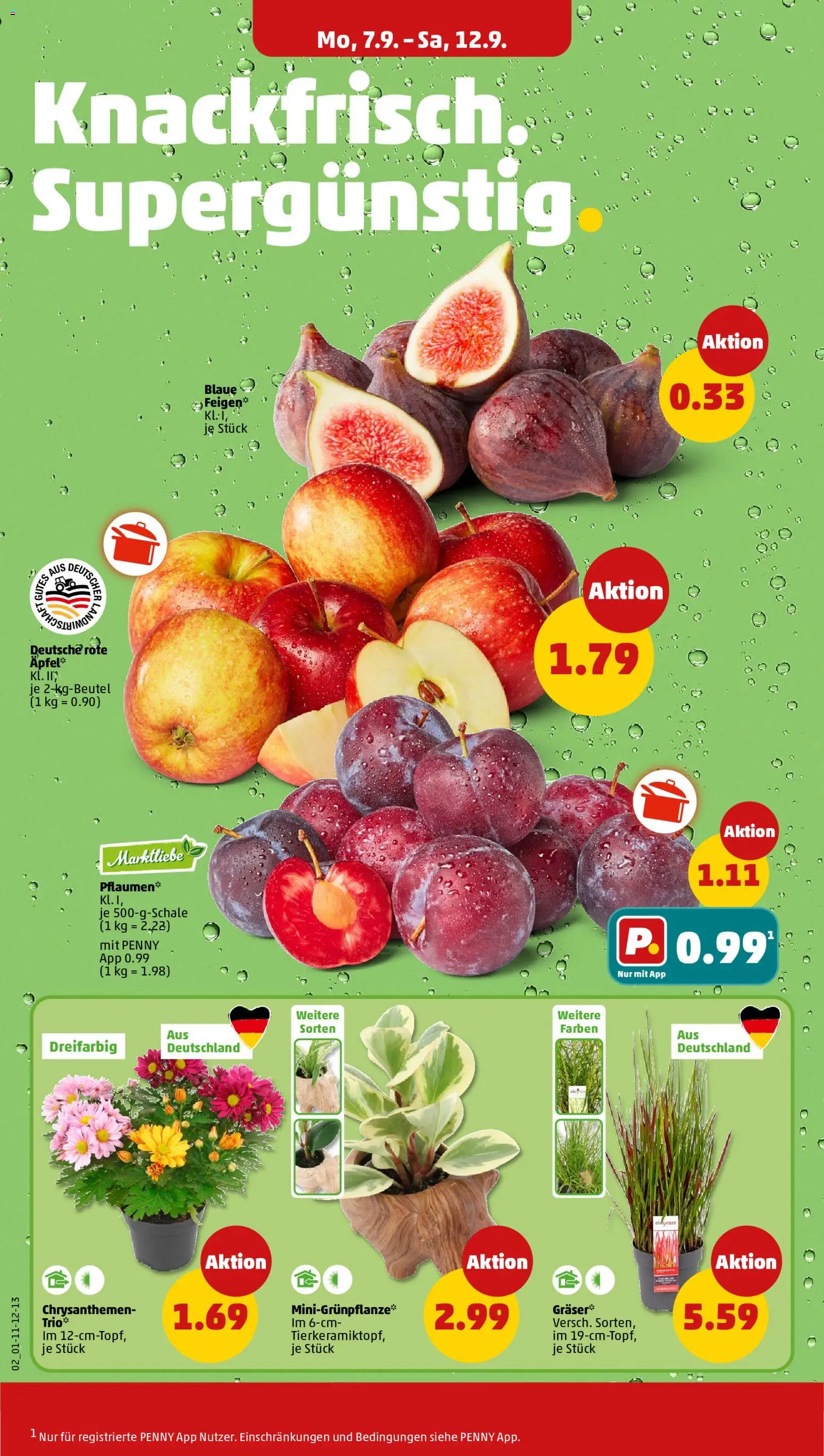 Penny Prospekt – gültig ab 07.09.2026 | Seite: 2