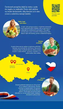 Náhled letáku Jahody z Pojizeří, Jahody z české produkce. od 27.08.2026 | Strana: 15 | Produkty: Ovoce a zelenina, Jahody, Zelenina, Ledový salát