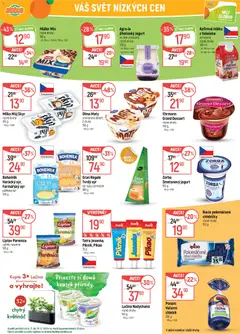 Náhled letáku Globus leták - Brno od 06.05.2026 | Strana: 19 | Produkty: Globus, Sýr, Jogurt, Kokos