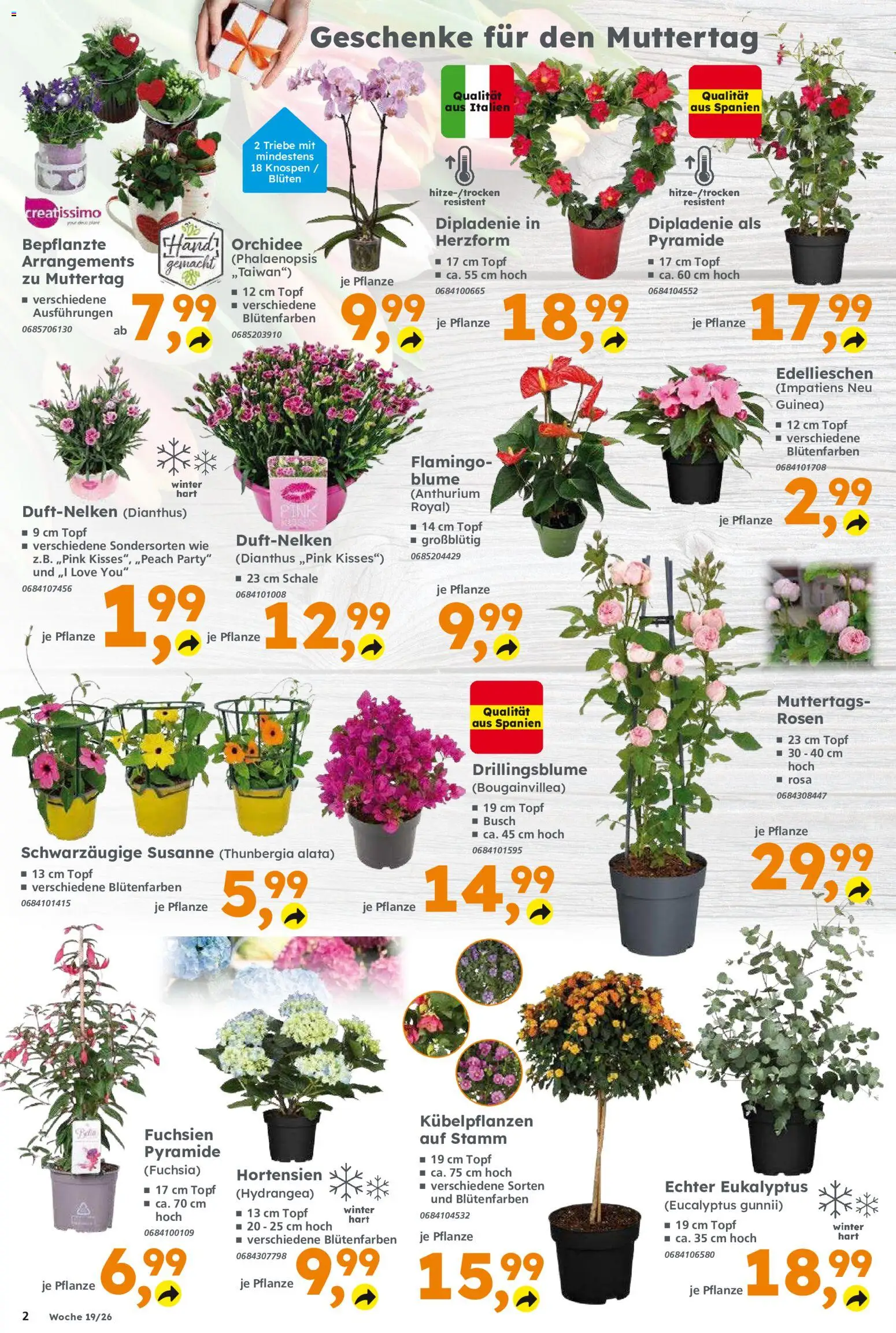 Globus Baumarkt Prospekt 	 – gültig ab 03.05.2026 | Seite: 2