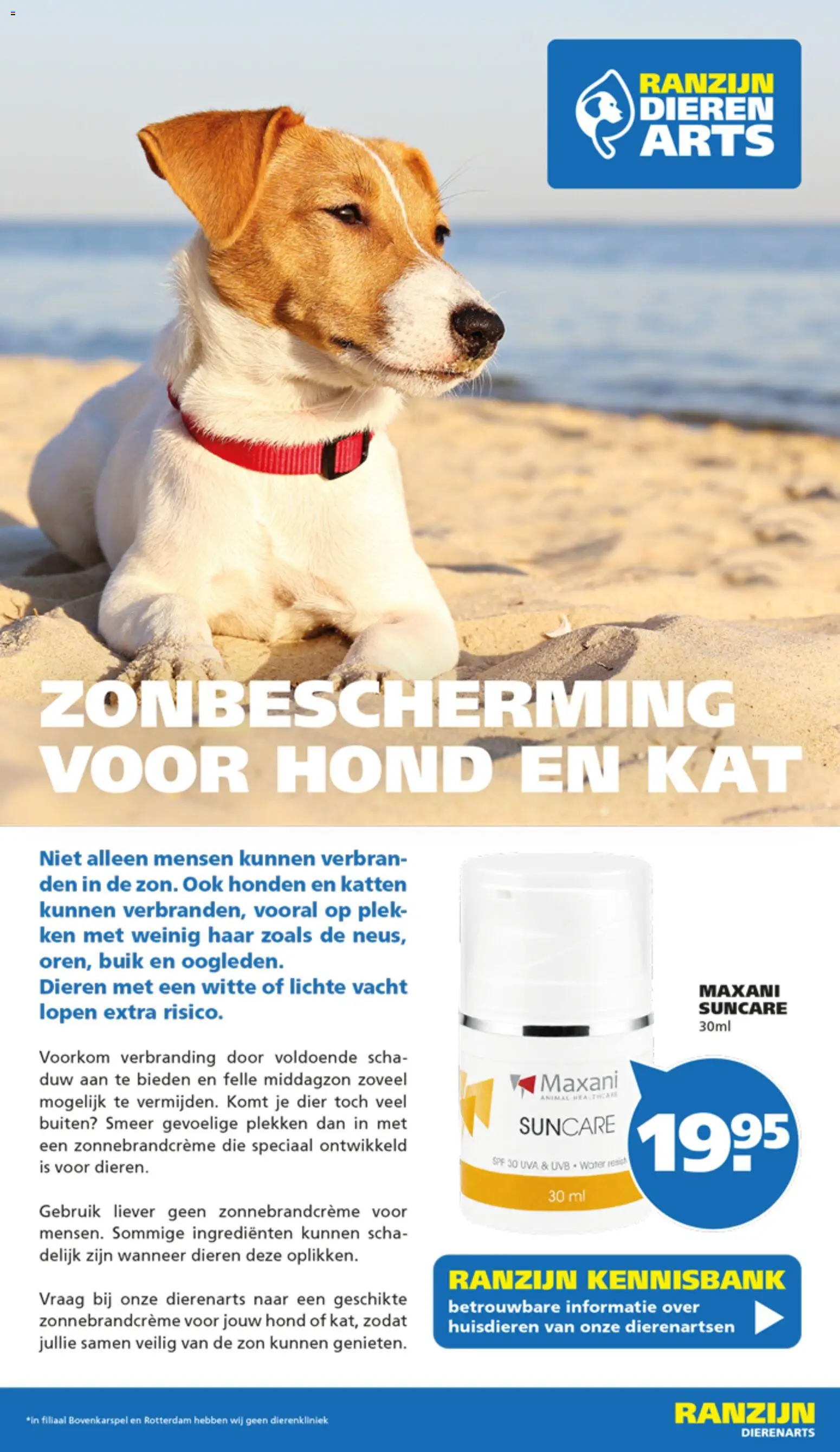{H1} | Pagina: 7 | Producten: Festék, Citrompótló tabletta, Zonnebrandcrème