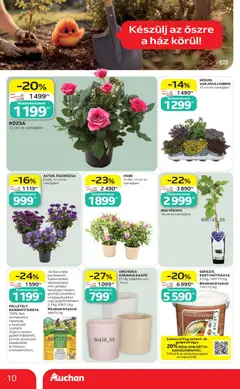 ORCHIDEA KERÁMIA KASPÓ, Ft/db, többféle szín, 13 cm - amely érvényes a következő dátumtól: 2026.09.10. | Oldal: 10