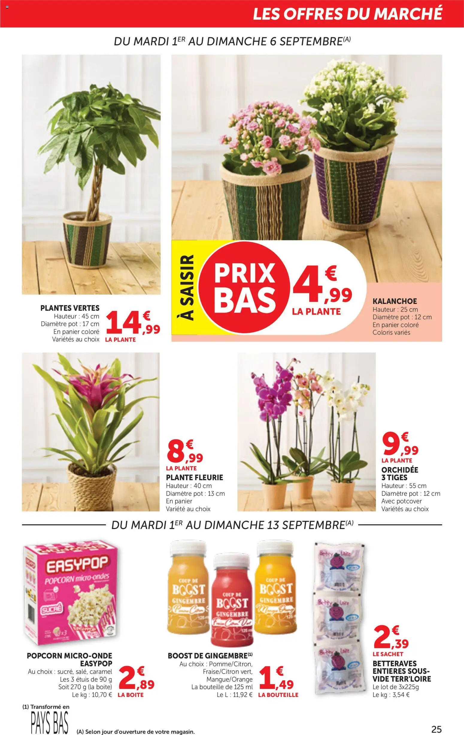 {H1} | Page: 25 | Produits: Sucre, Popcorn, Orchidée, Bouteille