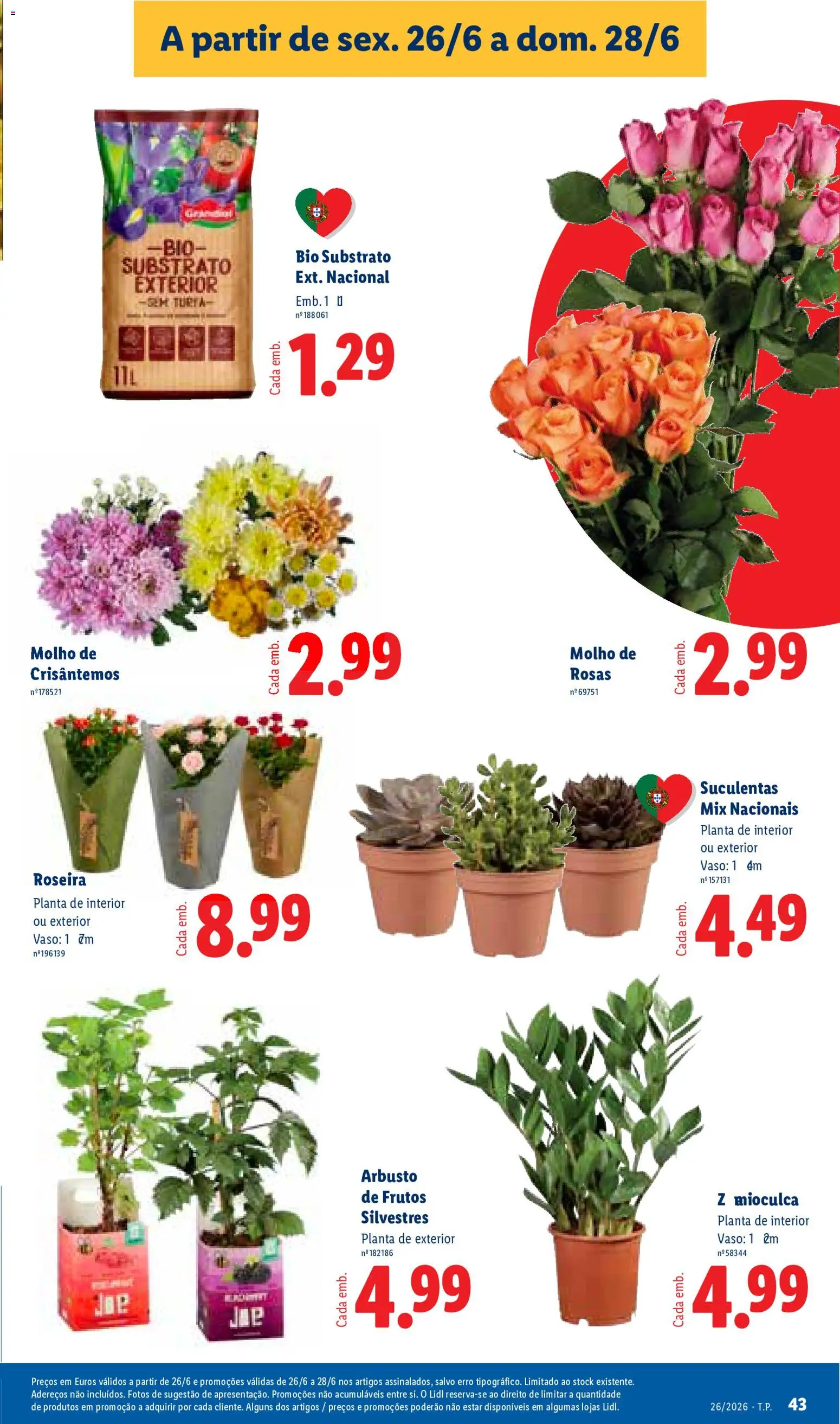 Lidl folheto │ válido de 22.06.2026 | Página: 43