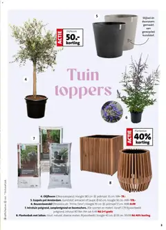 Intratuin folder - Voorbeeld van een folder van Intratuin, geldig van 08.06.2026 | Pagina: 3 | Producten: Pot, Zak