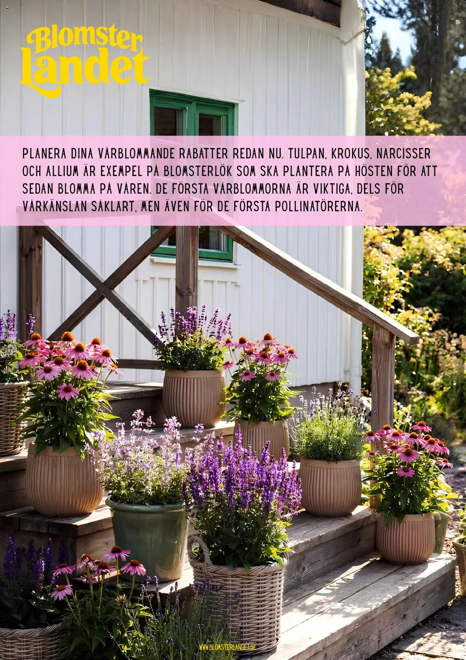 Blomsterlandet reklamblad aktuell från 13/08/2026 | Sida: 1