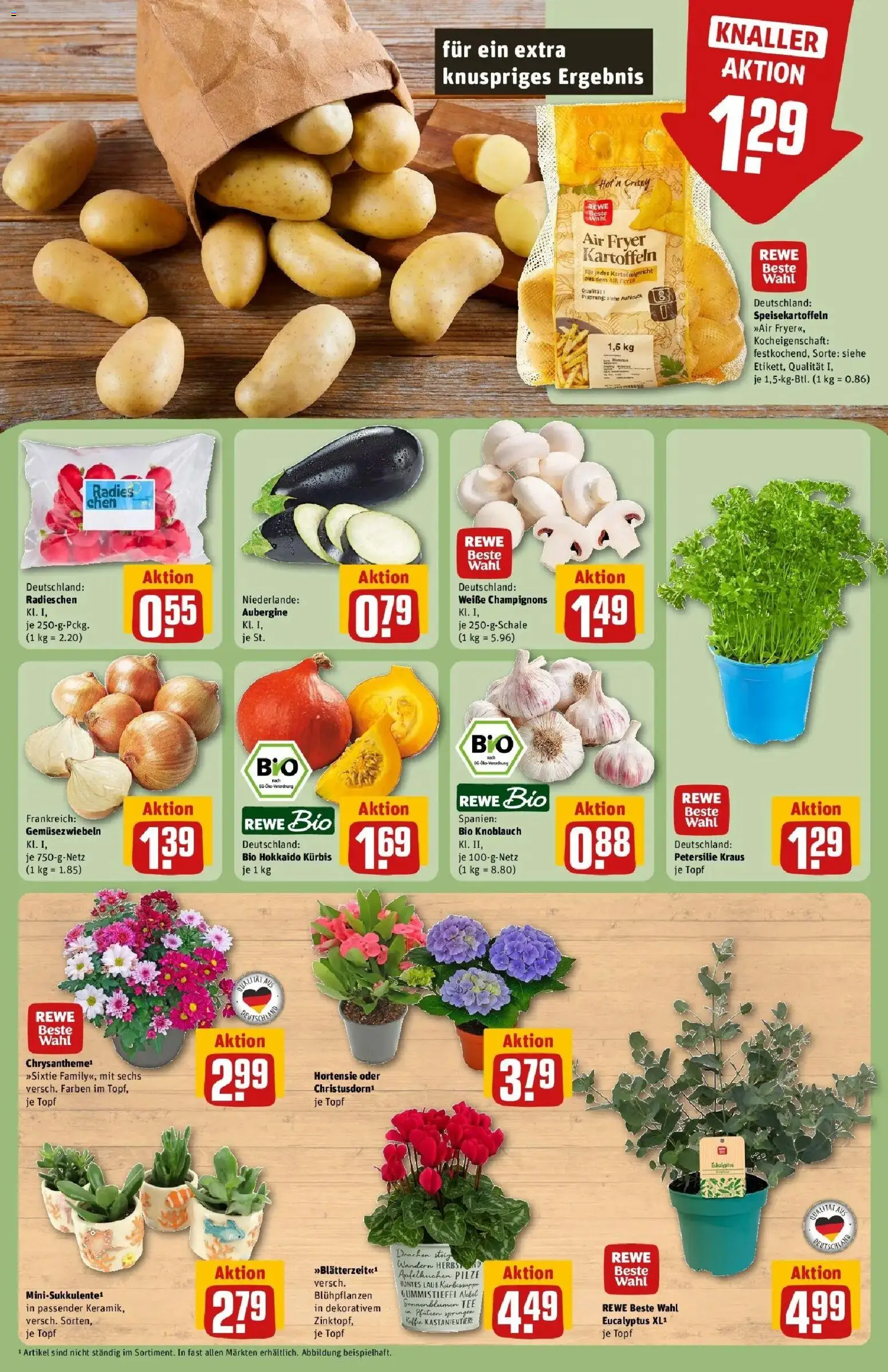 REWE Prospekt ab 24.08.2026 zum Blättern » Angebote | Seite: 7 | Produkte: Hortensie, Champignons, Kartoffeln, Tee