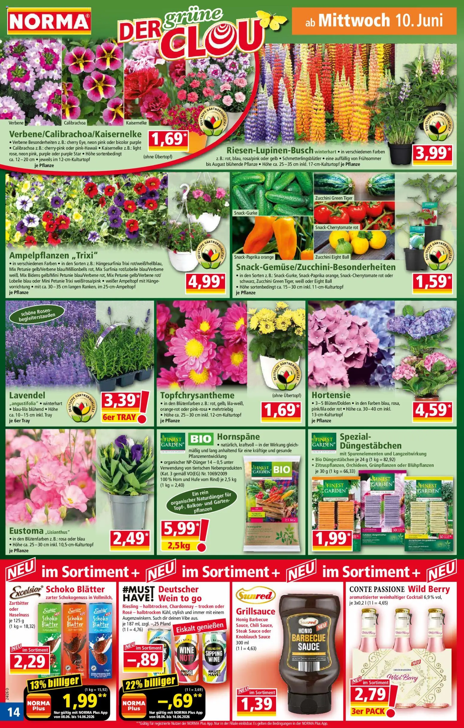 Norma Prospekt – gültig ab 08.06.2026 | Seite: 14 | Produkte: Hortensie, Zucchini, Steak, Lavendel