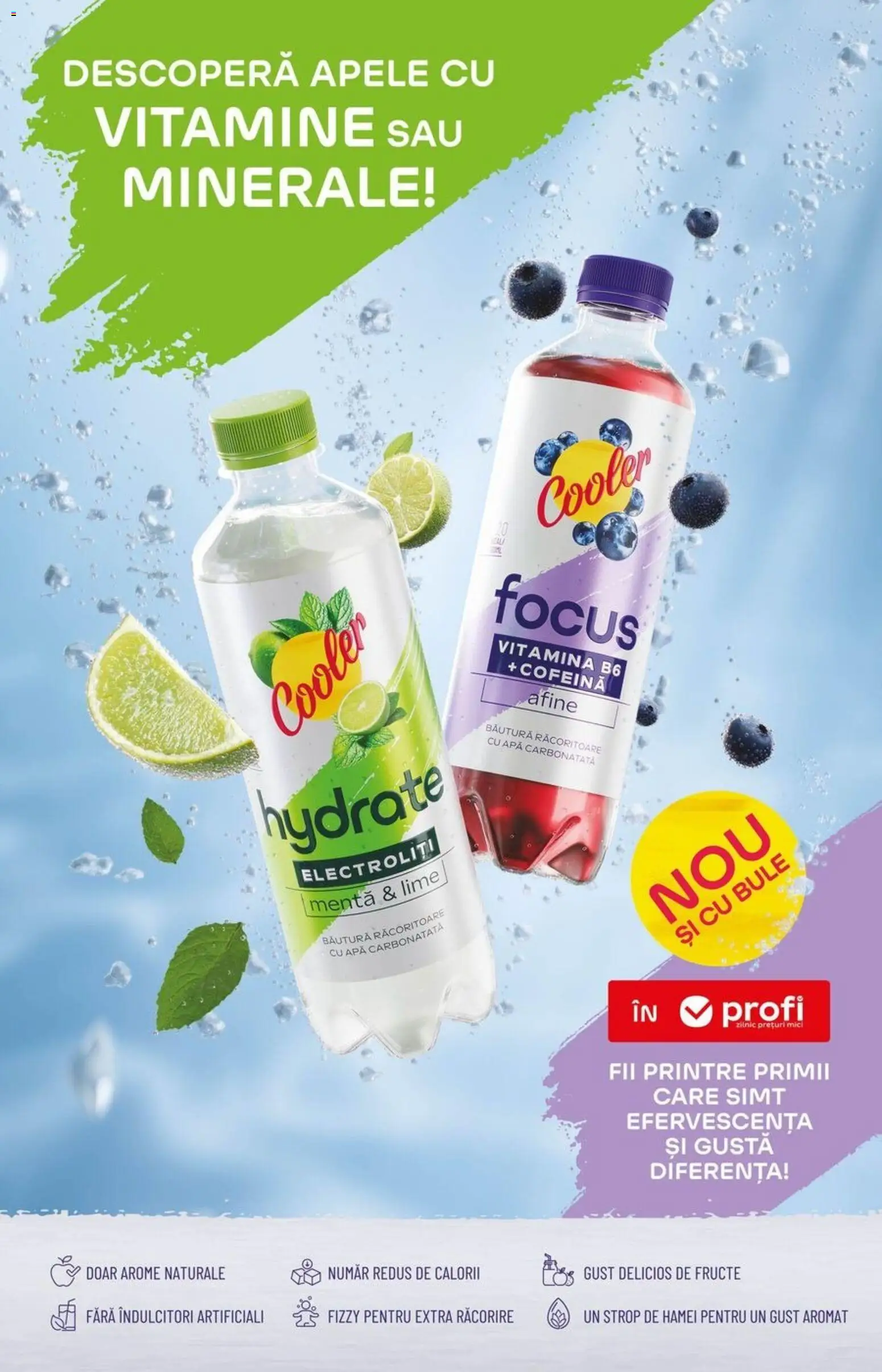 Noul catalog Profi – valabil de la 15.04.2026 | Pagină: 15 | Produse: Lime, Afine, Mici, Apă