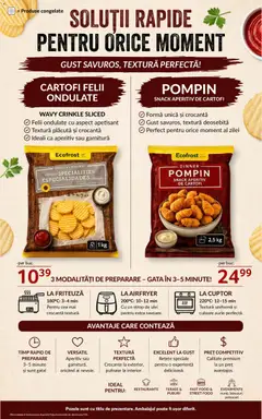 Ofertele Selgros valabile de la 04.09.2026 | Pagină: 7 | Produse: Premium, Friteuză, Ulei, Cartofi