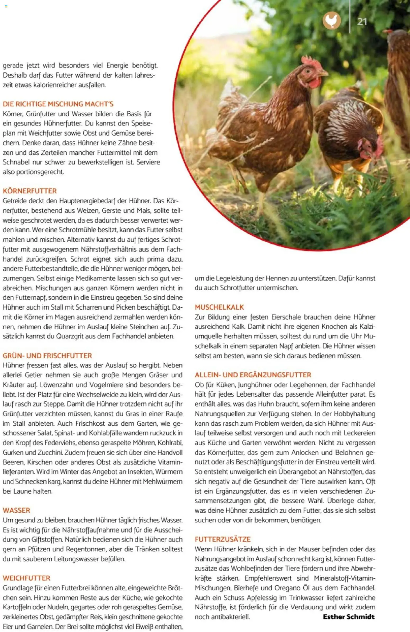 zookauf Heimtier Journal – gültig ab 01.10.2026 | Seite: 21 | Produkte: Gemüse, Obst, Brot, Getreide