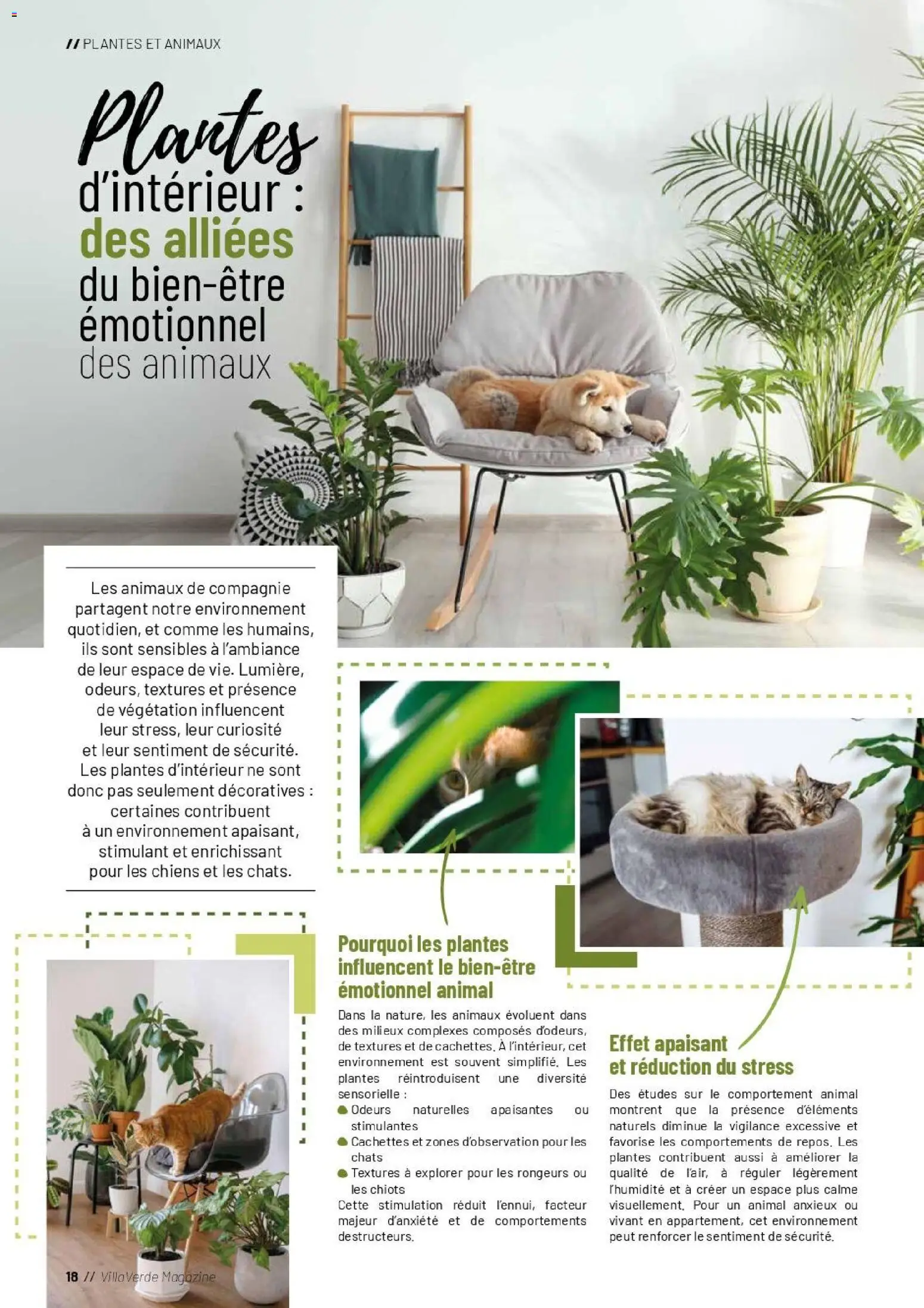 {H1} | Page: 18 | Produits: Plantes, Magazine