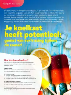 Vanden Borre folder - Voorbeeld van een folder van Vanden Borre, geldig van 21.04.2026 | Pagina: 14 | Producten: Koelkast, Vriezer, Fruit, Taart