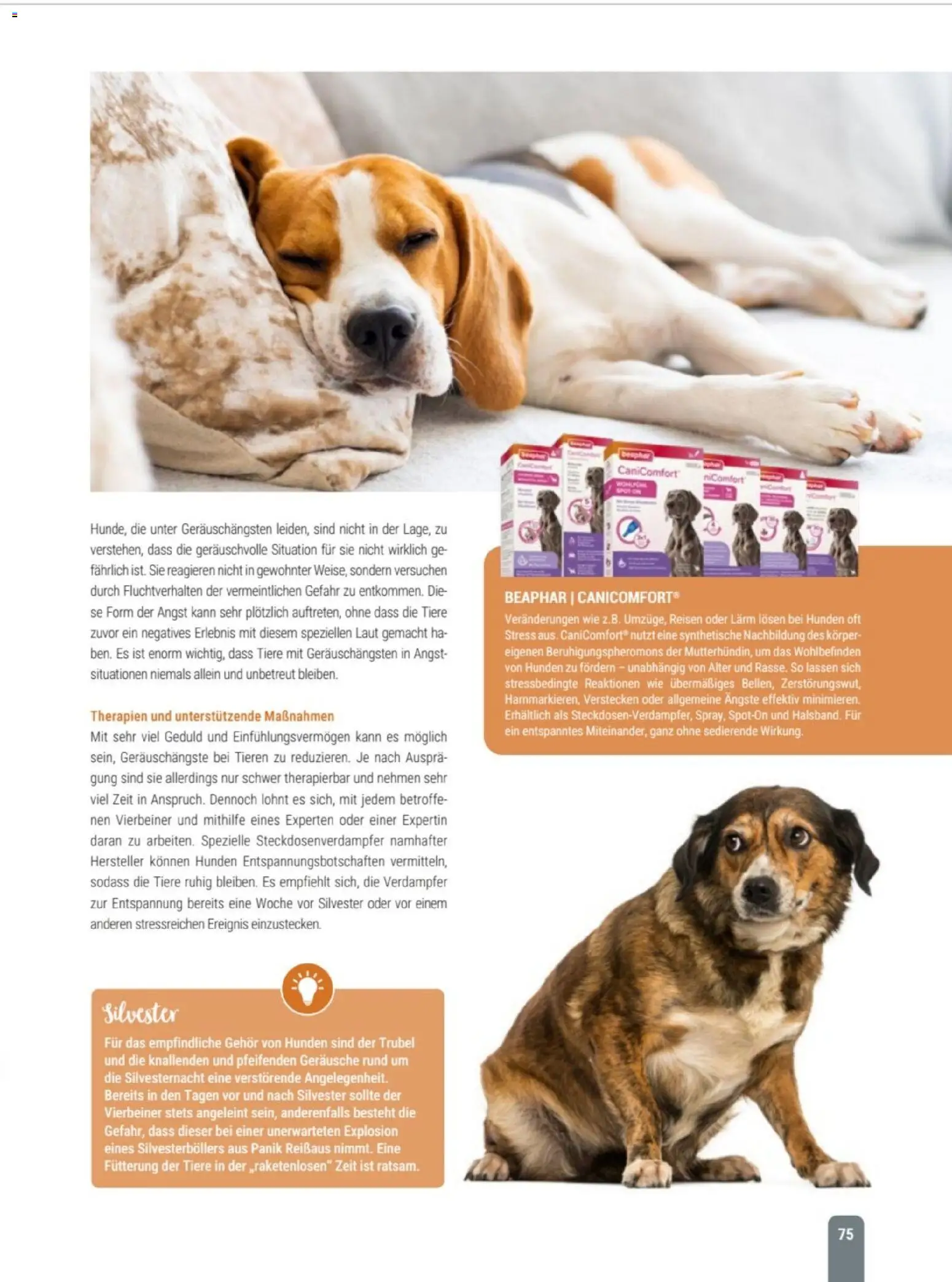 zookauf Themenkatalog Hund – gültig ab 18.05.2026 | Seite: 75