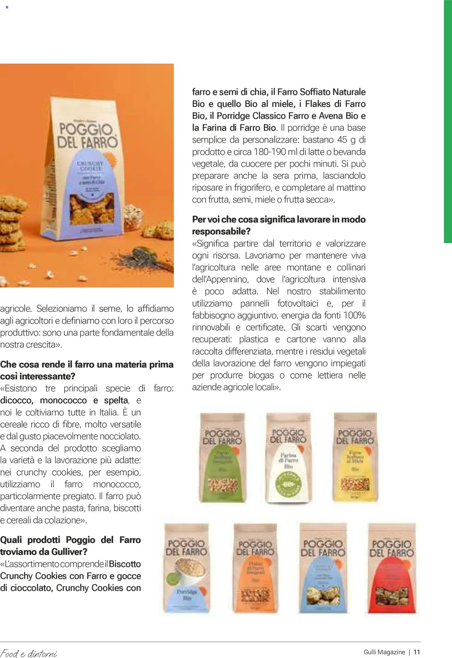 Volantino Gulliver del 01/10/2026 | Pagina: 11 | Prodotti: Cereali, Frutta, Farina di farro, Porridge