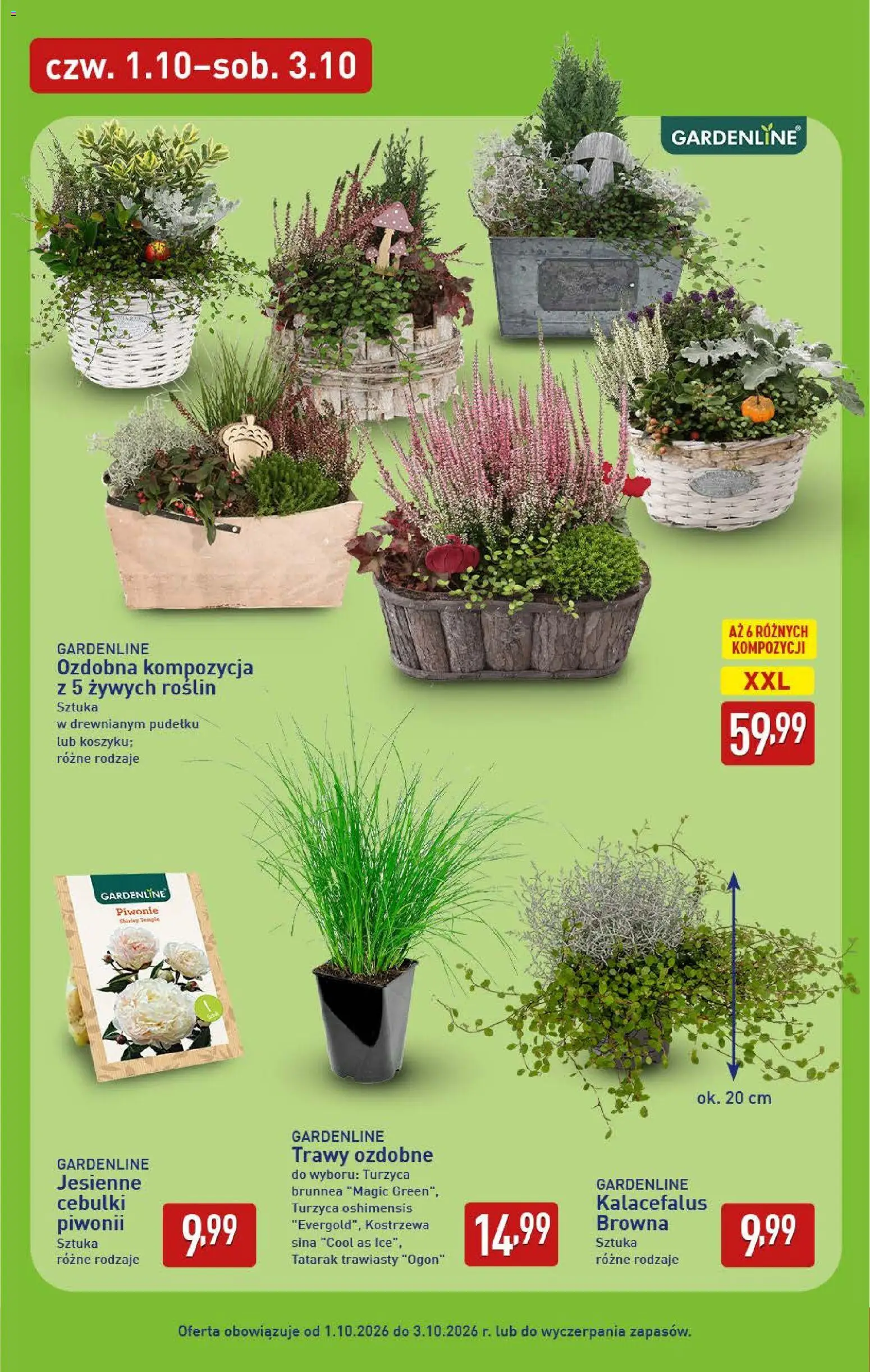 Aldi Polsko leták od 28.09.2026 | Strana: 43 | Produkty: Tatarák