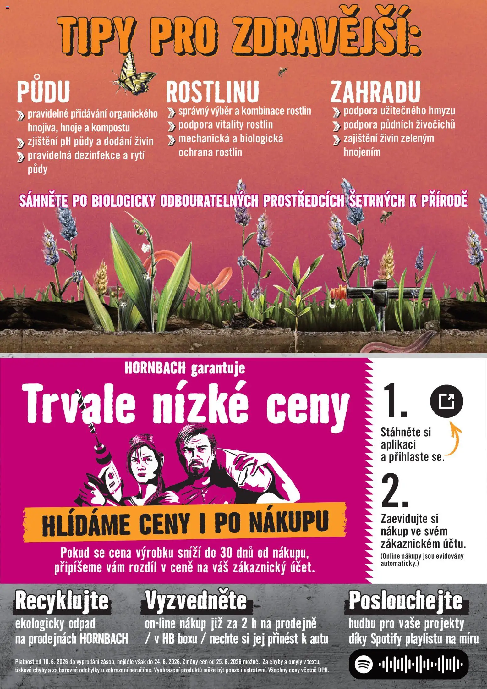 HORNBACH leták - Venkovní rostliny od 10.06.2026 | Strana: 8