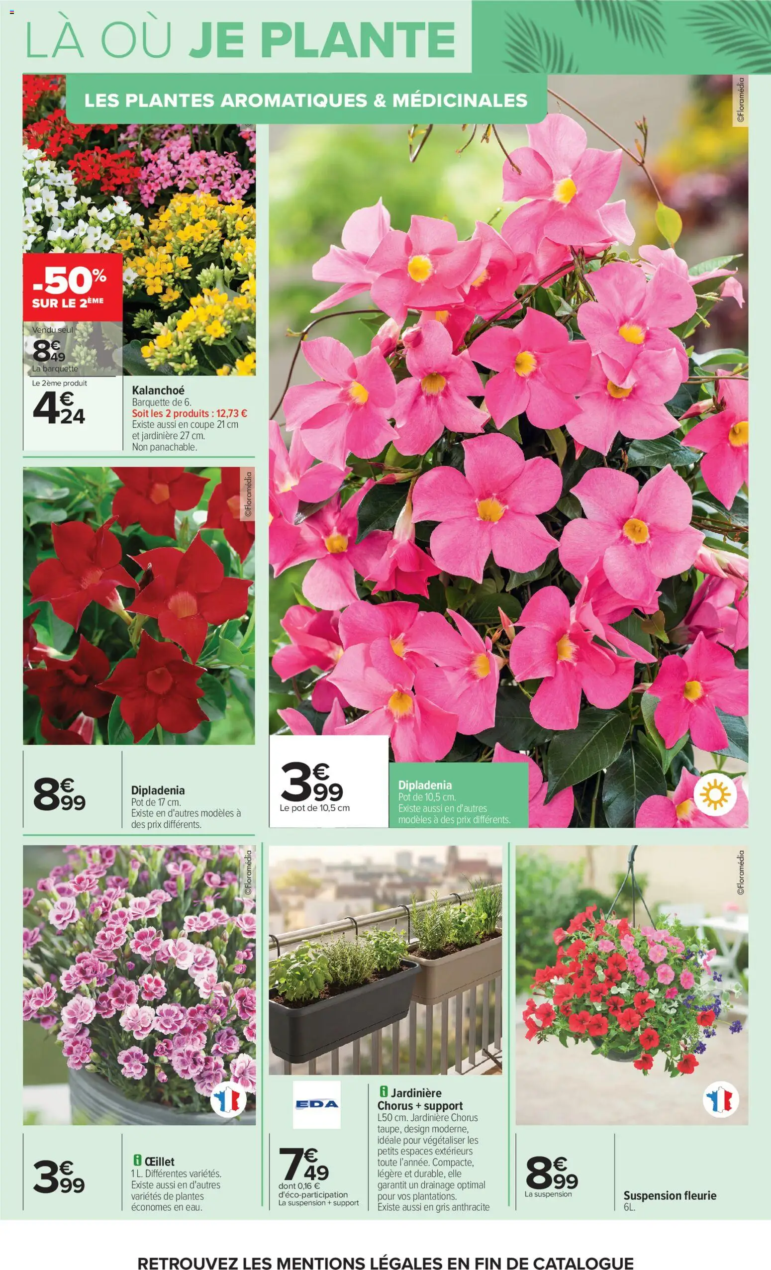 {H1} | Page: 4 | Produits: Jardinière, Dipladénia, Suspension, La suspension