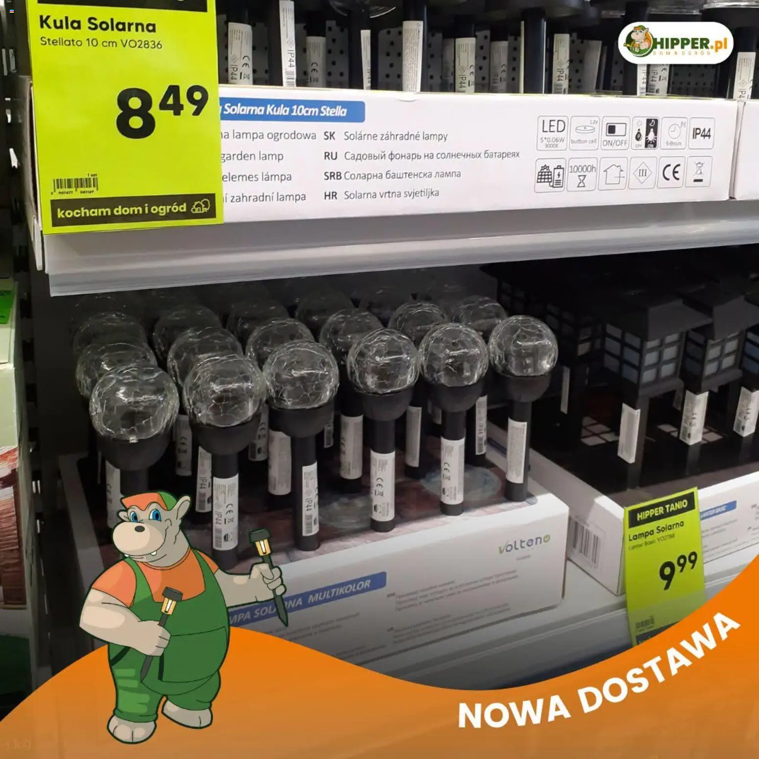 Hipper gazetka od 10.07.2026 | Strona: 8 | Produkty: Lampa solarna, Lampa, Sól