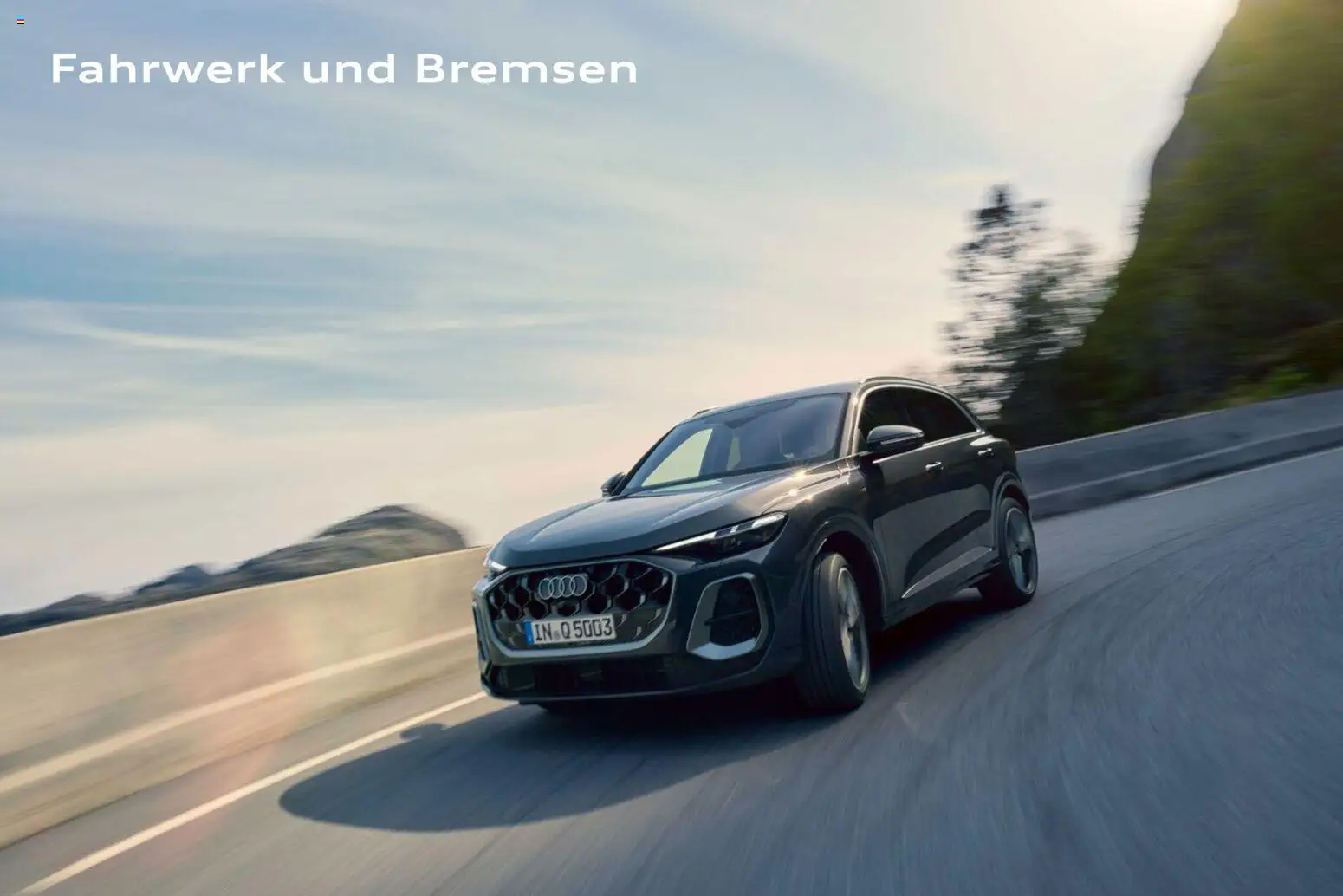 Audi Q5 – gültig ab 28.10.2025 | Seite: 132 | Produkte: Kamera