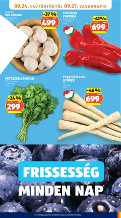 PETREZSELYEM-GYÖKÉR, 699 Ft/kg - amely érvényes a következő dátumtól: 2026.09.24. | Oldal: 7