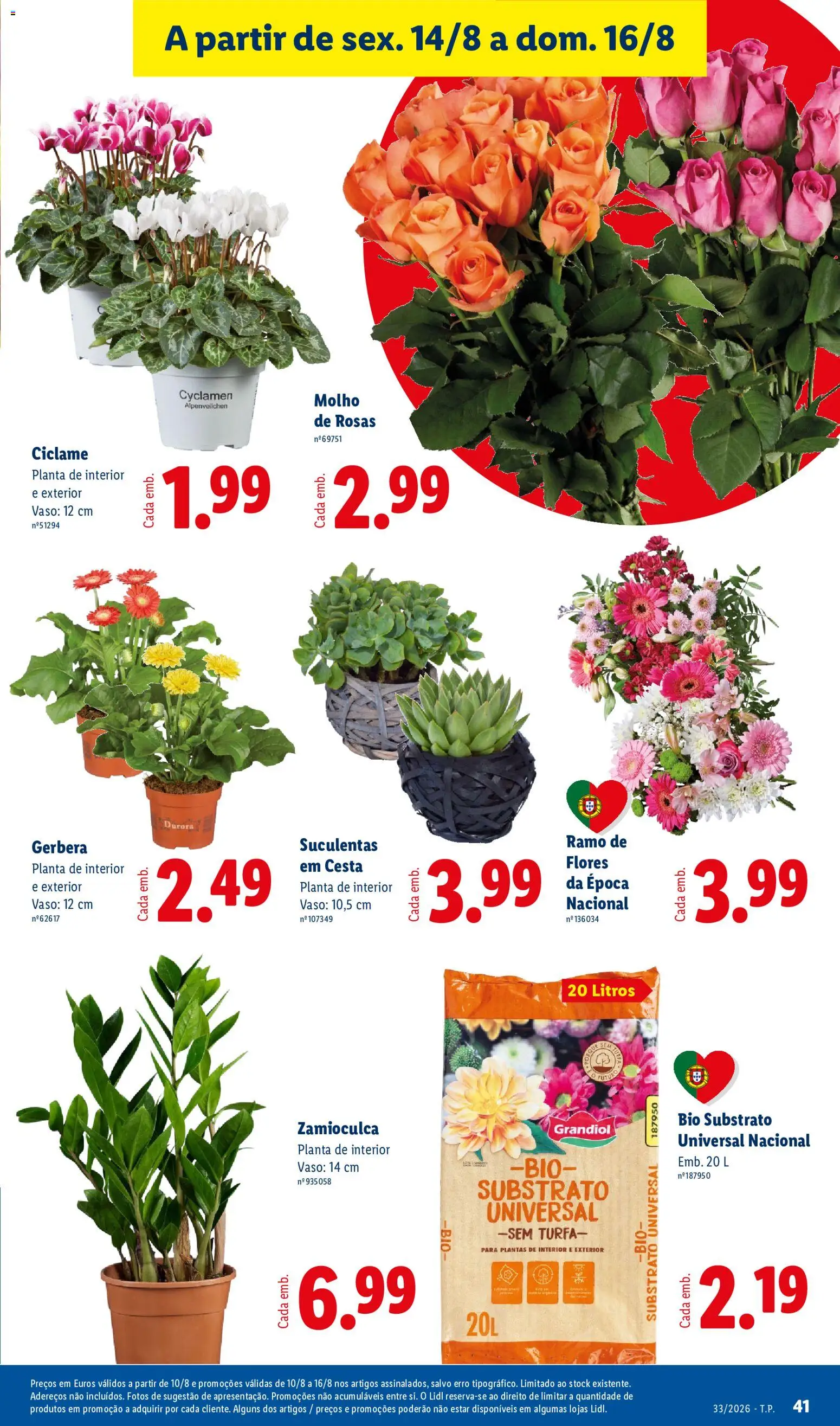 Lidl folheto │ válido de 10/08/2026 | Página: 41 | Produtos: Flores, Cesta, Vaso, Gerbera